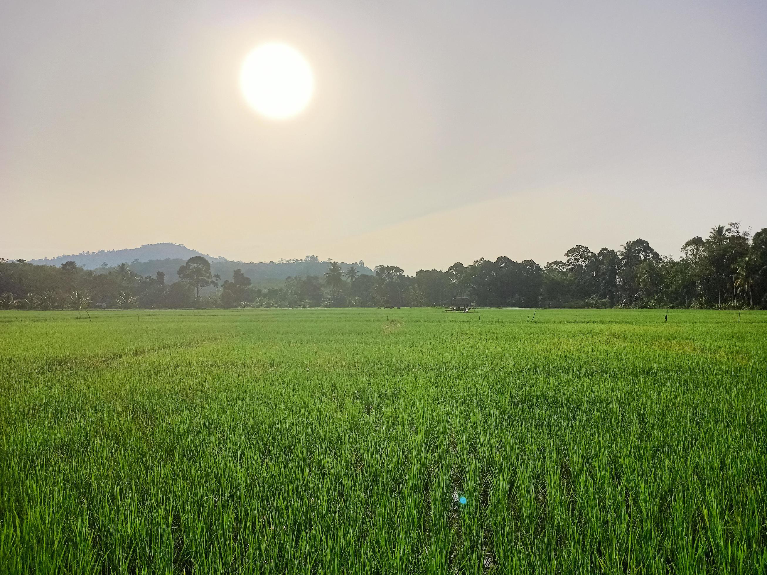 Beautiful natural scenery during the day, the sky is blue, the clouds Stock Free