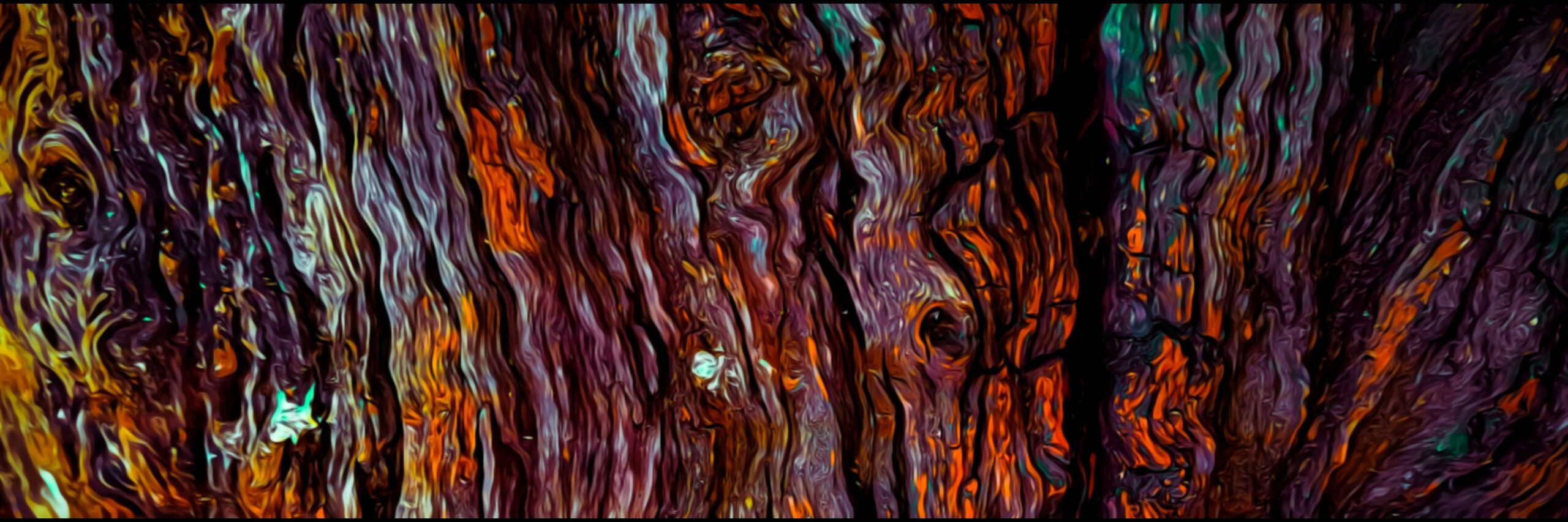 close up of a bark texture Free Photo