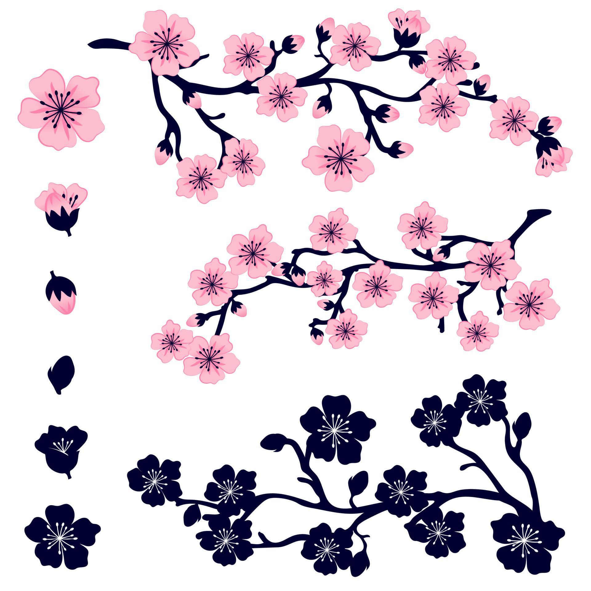 Set of pink sakura flowers. Vector image of a branch of a blossoming tree, flowers, buds and Stock Free and Free SVG