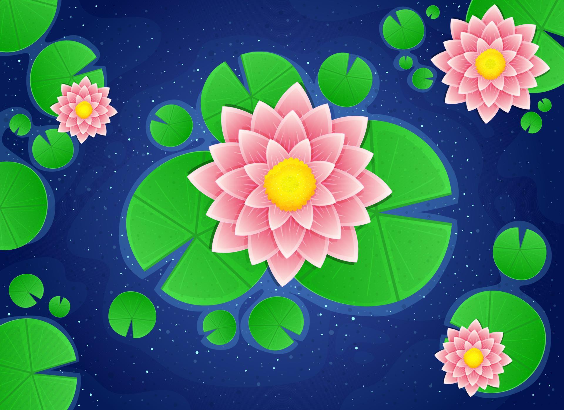 
									Water lily flower vector design illustration isolated on background Stock Free