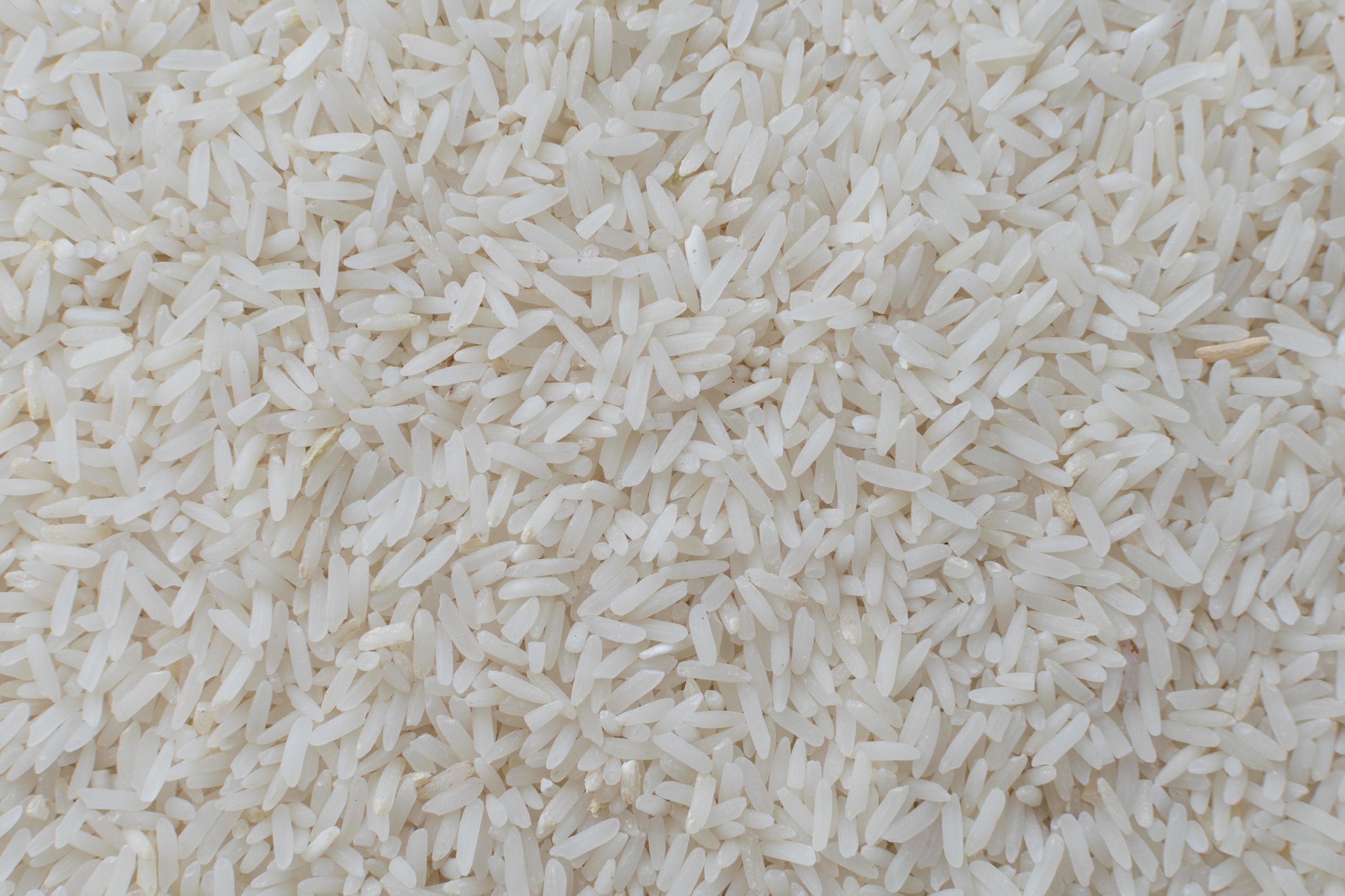 jasmine rice. food Stock Free