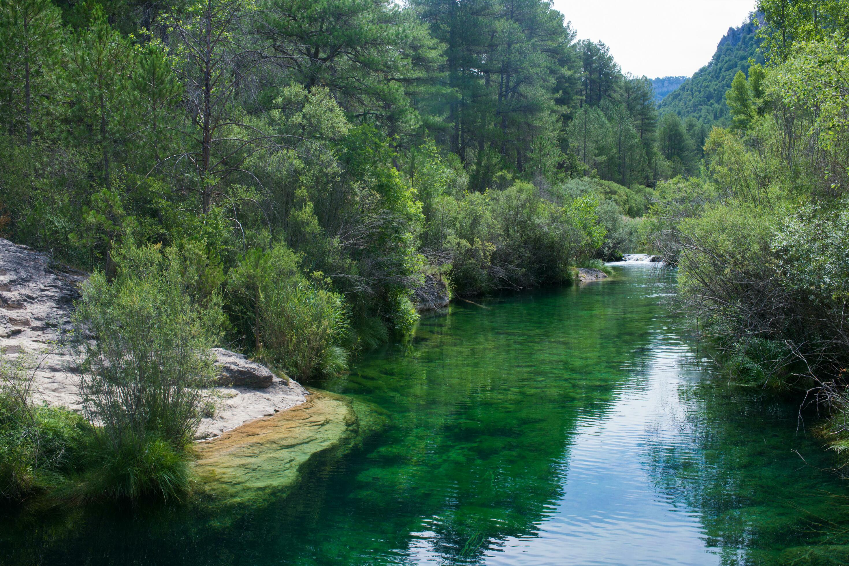 Peaceful landscape with river and green forest. Peralejos de las Truchas. Stock Free