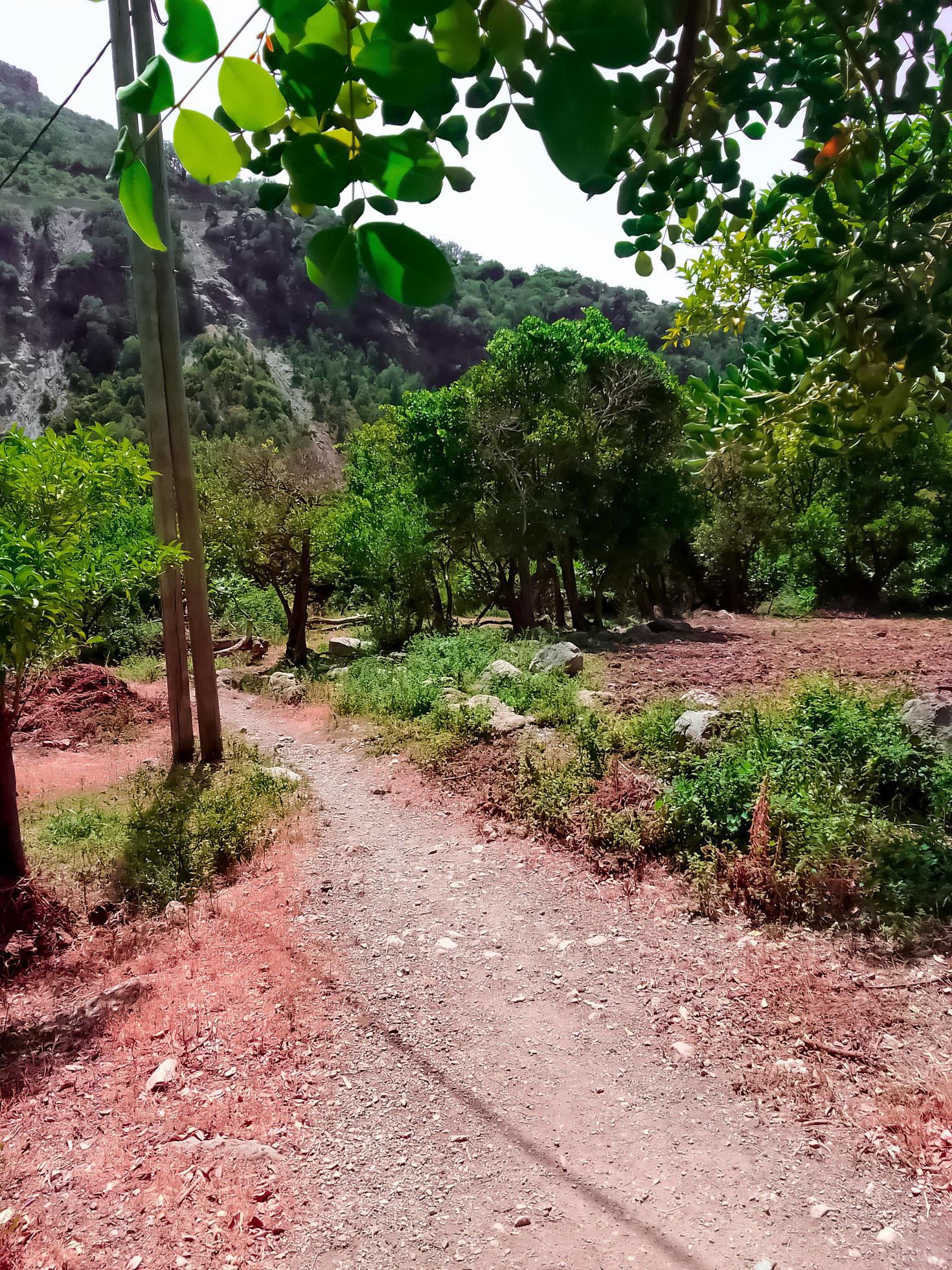 A footpath in the nature of the countryside Stock Free