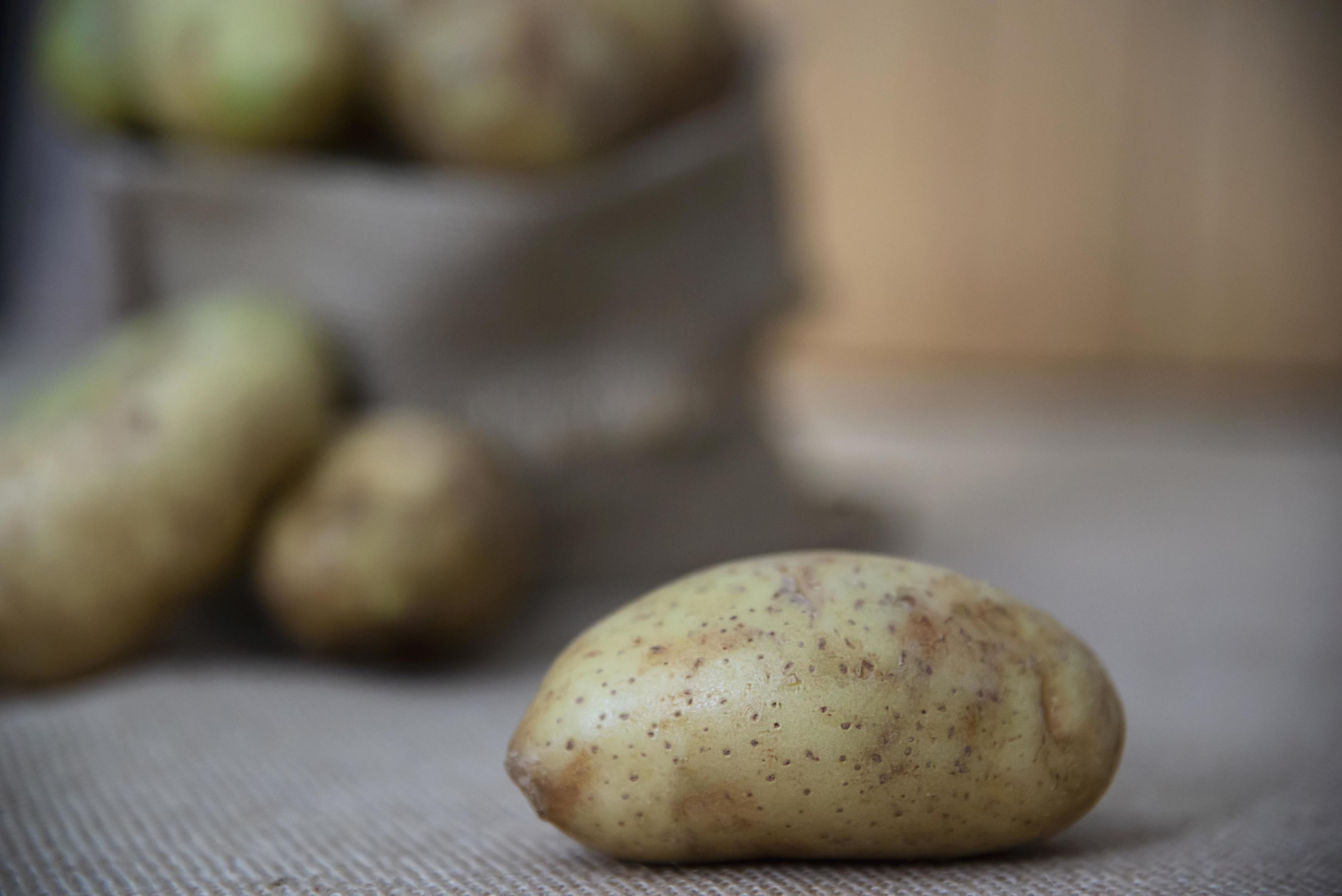 Fresh potato in kitchen ready to be cooked – fresh vegetable preparing for making food concept Stock Free