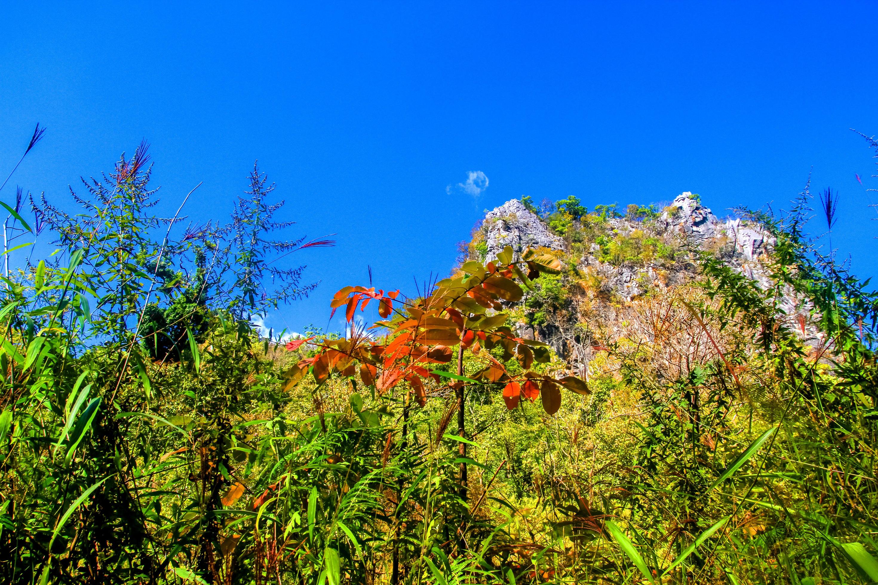 Beautiful Landscape of rocky Limestone Mountain and green forest with blu sky at Chiang doa national park in Chiangmai, Thailand Stock Free