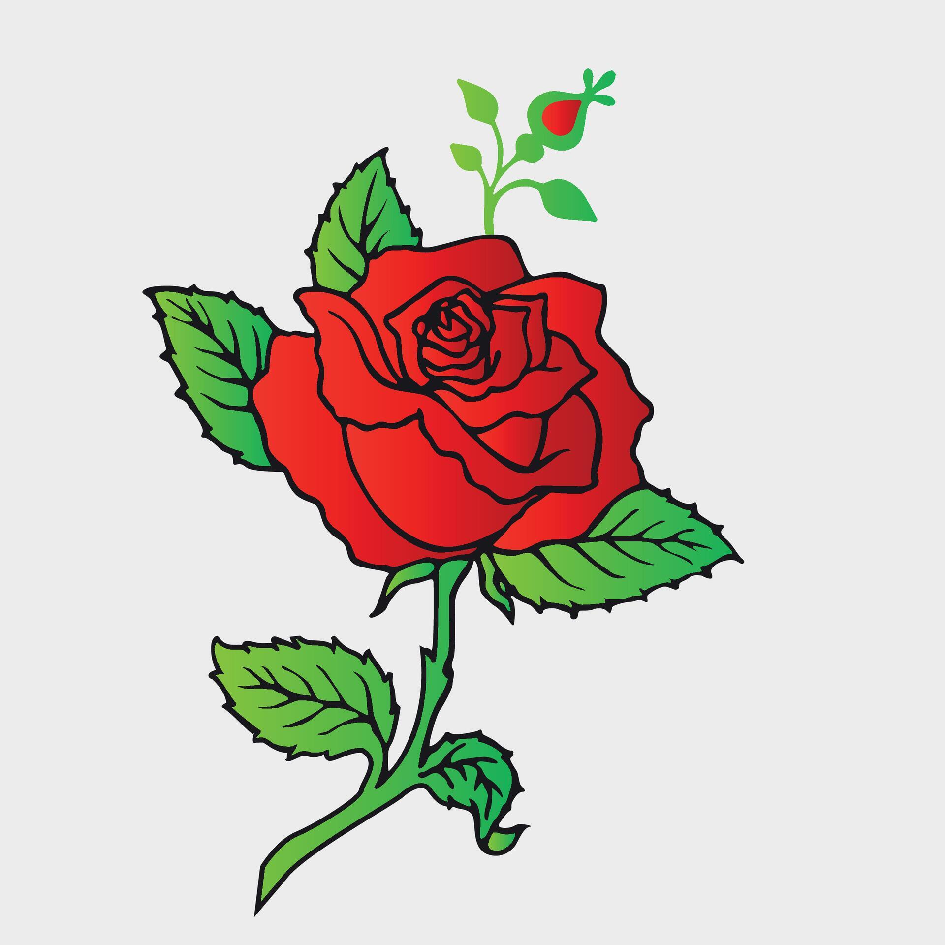 rose flower vector illustration Stock Free