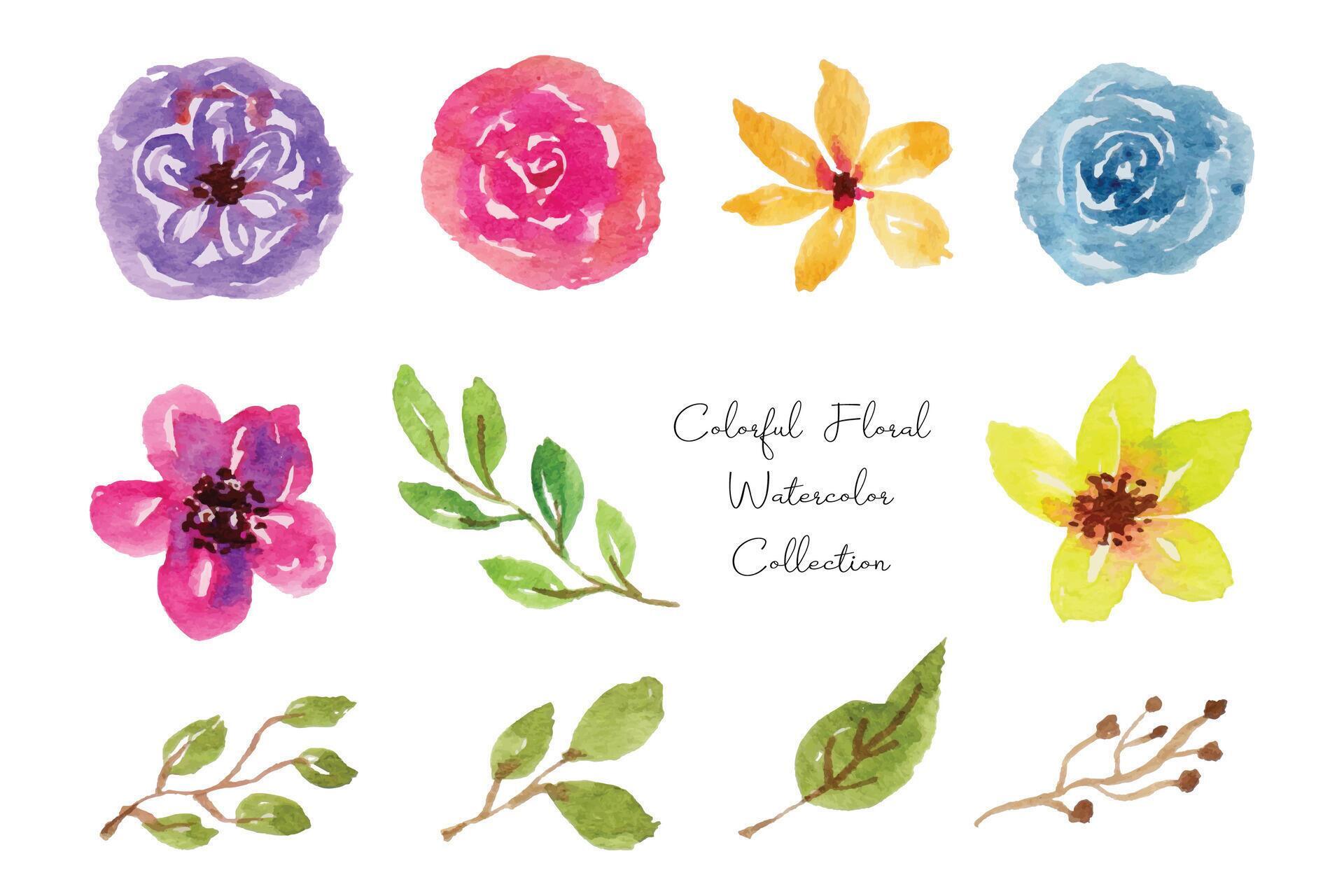 Colorful Flower and Leaf Watercolor Collection Stock Free