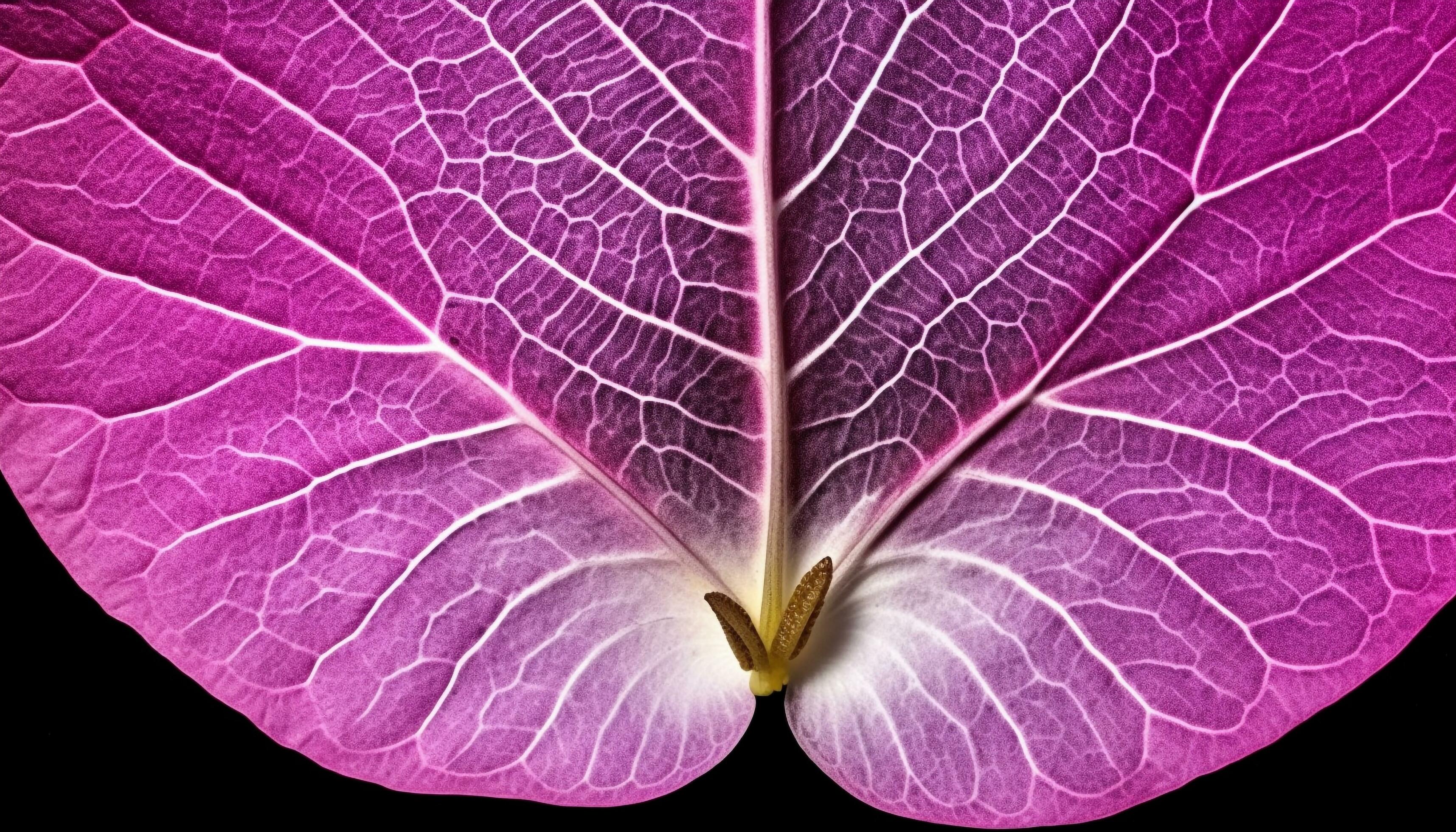 Vibrant pink flower head with delicate leaf veins in close up generated by AI Stock Free