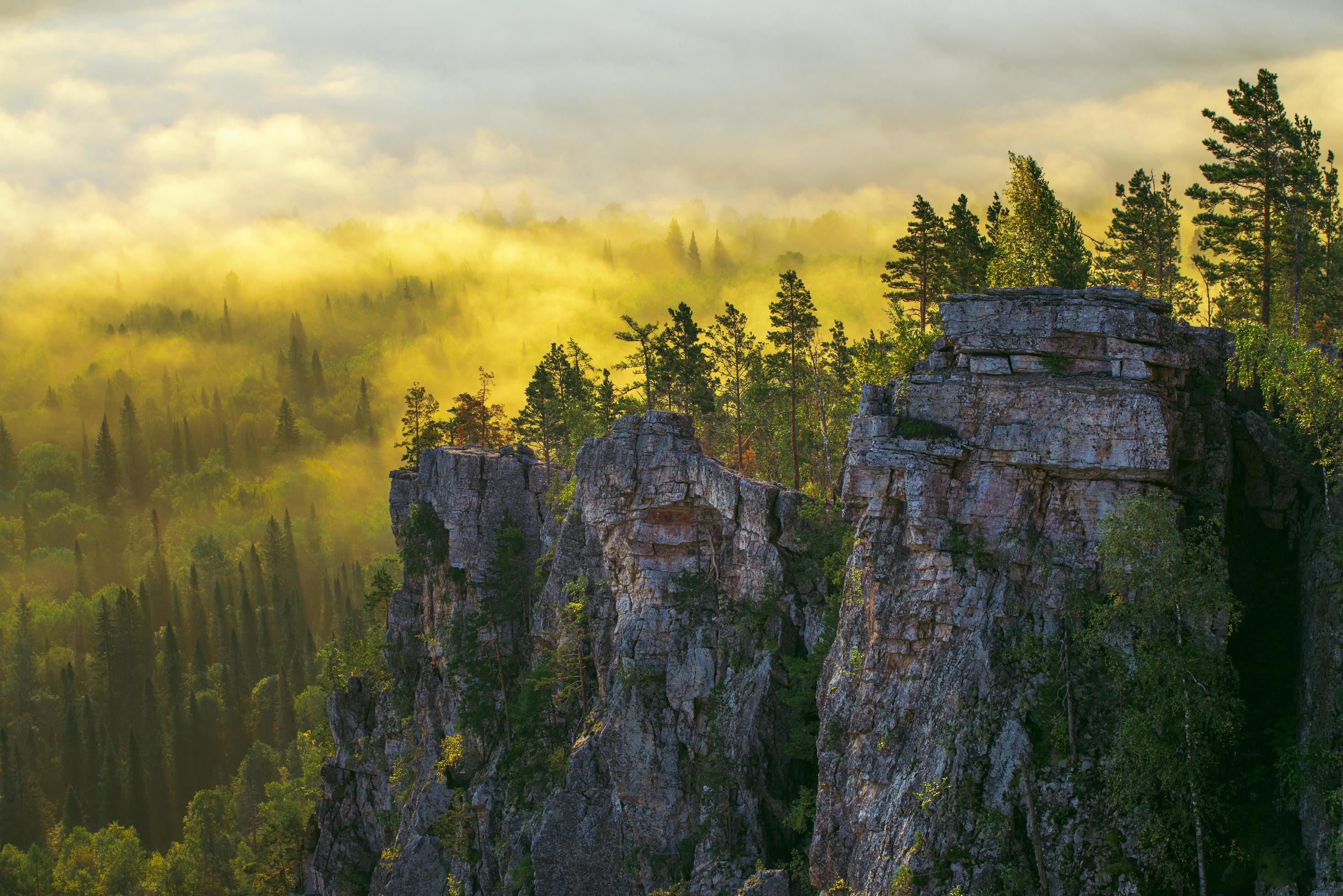 Mountain valley during golden sunrise. Fog and clouds over the forest highlighted by morning sun. Stock Free