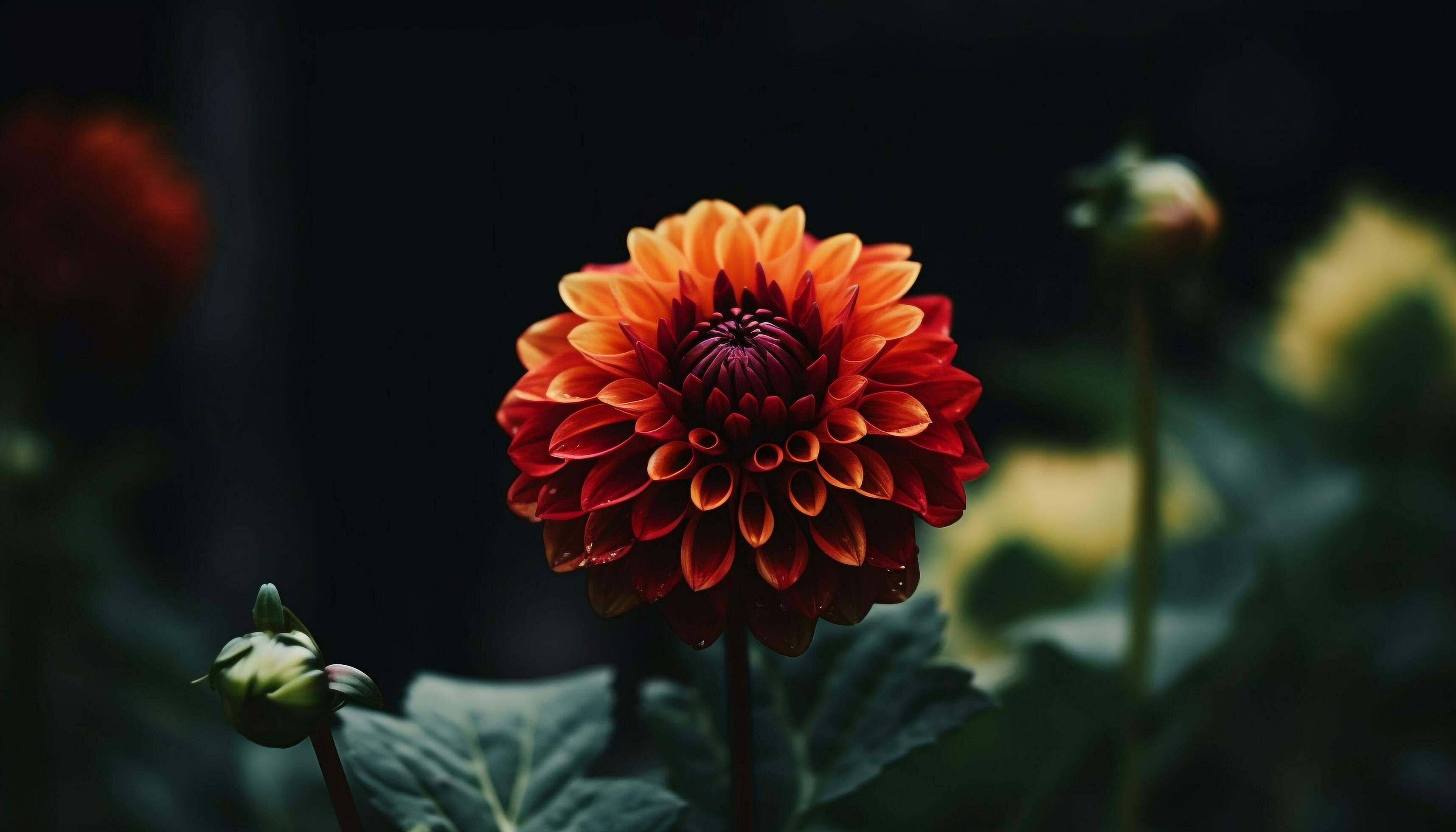 Vibrant bouquet of multi colored flowers in a formal garden generated by AI Stock Free