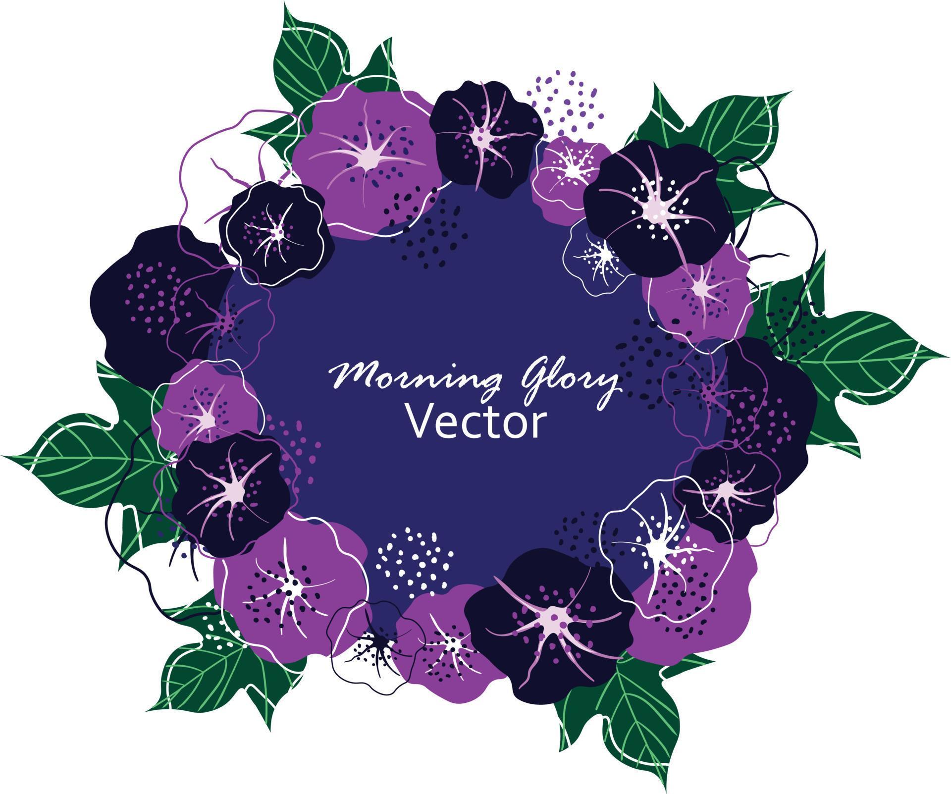 Vector illustration of Morning glory flowers with leaves frame wreth Stock Free