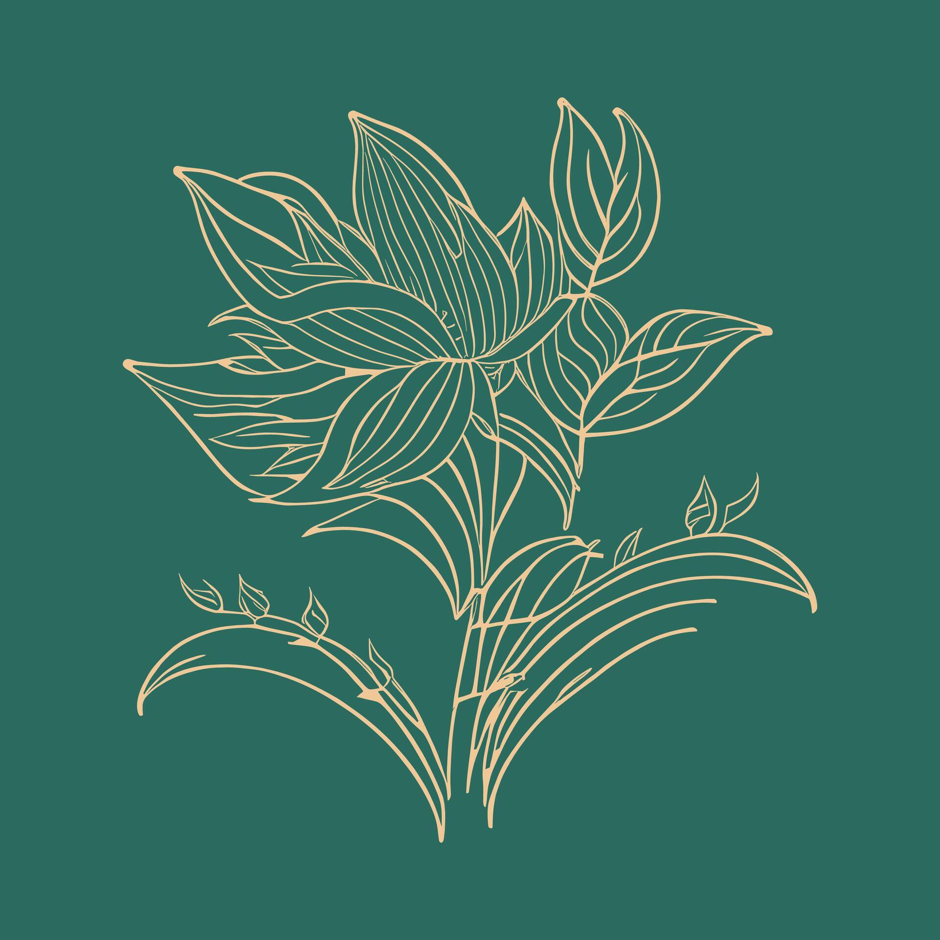 Elegant line art lily flower design, vector illustration Stock Free