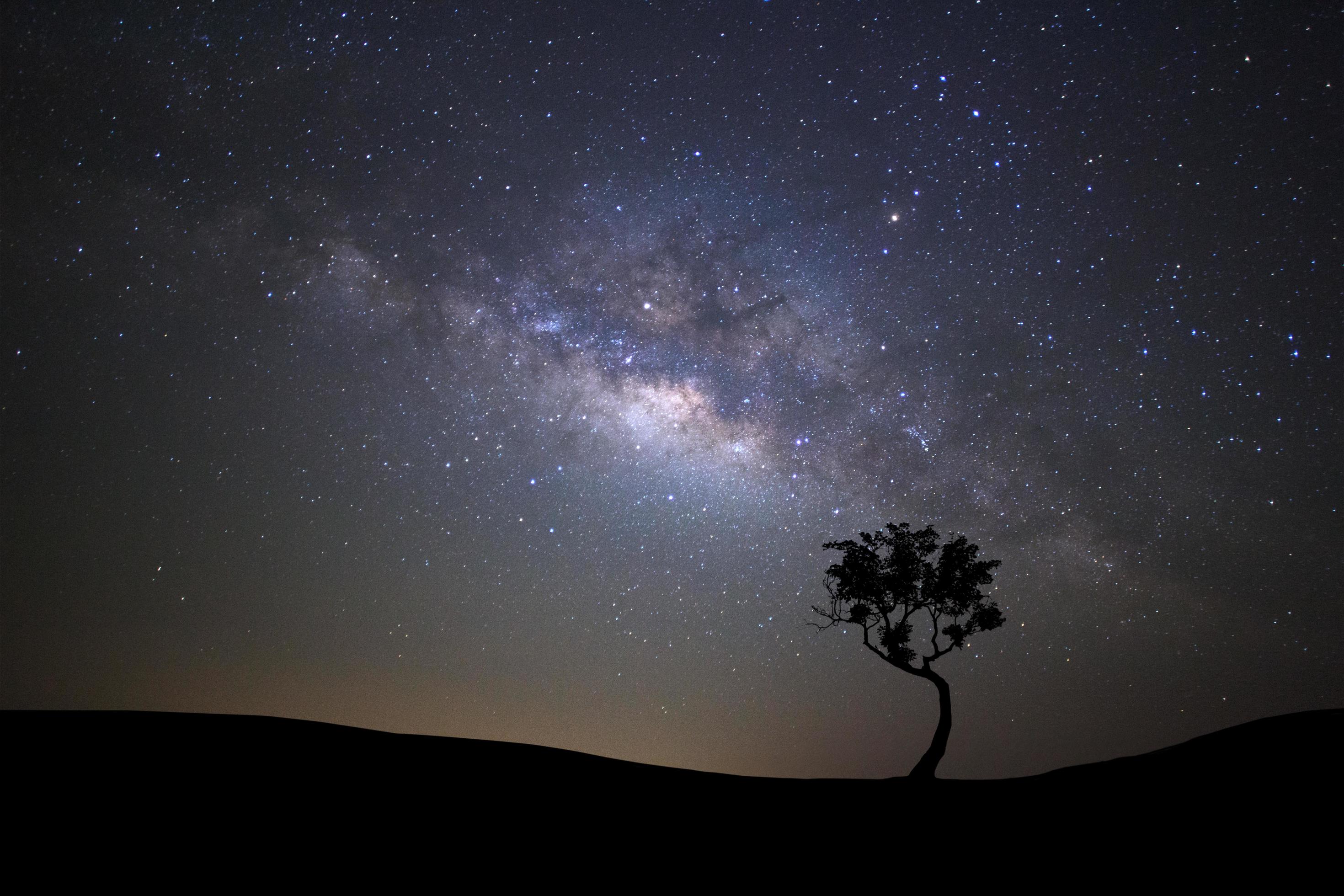 Landscape silhouette of tree with milky way galaxy and space dust in the universe, Night starry sky with stars Stock Free