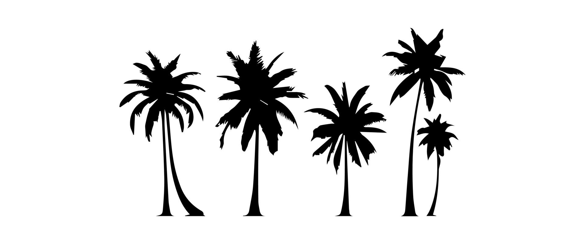 Black palm trees set isolated on white background. Palm silhouettes. Design of palm trees for posters, banners and promotional items. illustration Free Vector