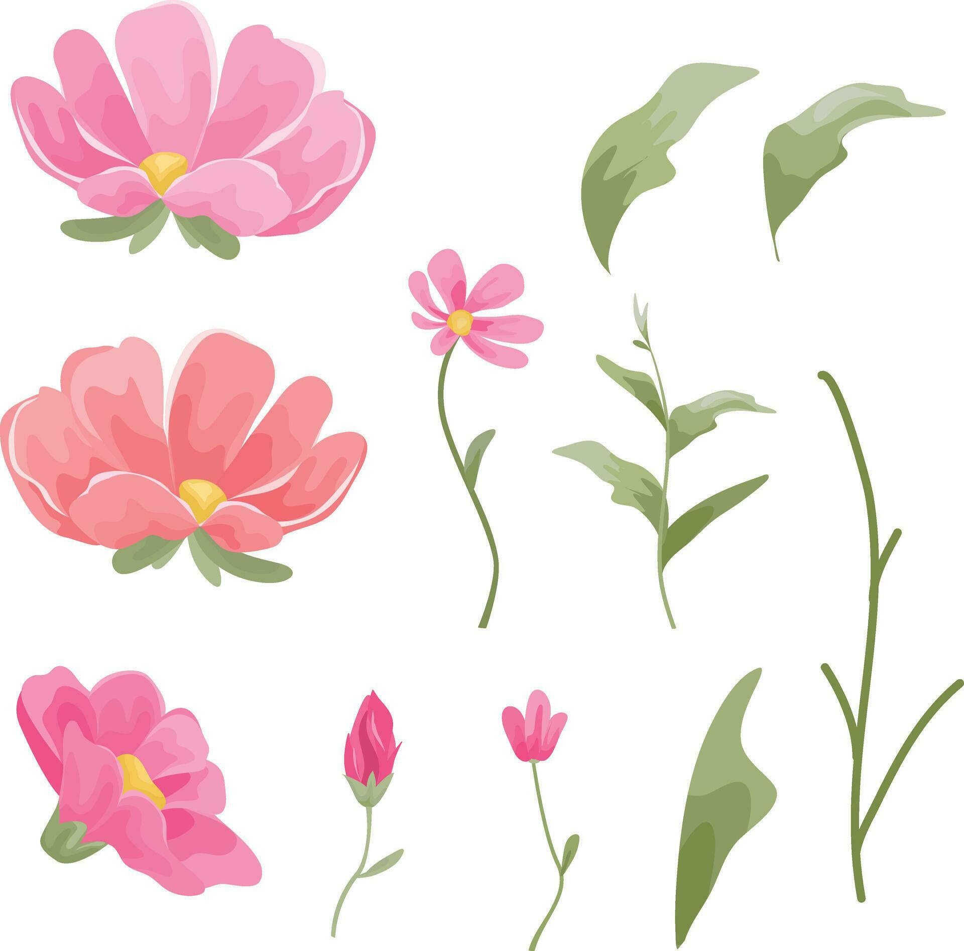 set of floral elements, flowers and leaves vector Stock Free