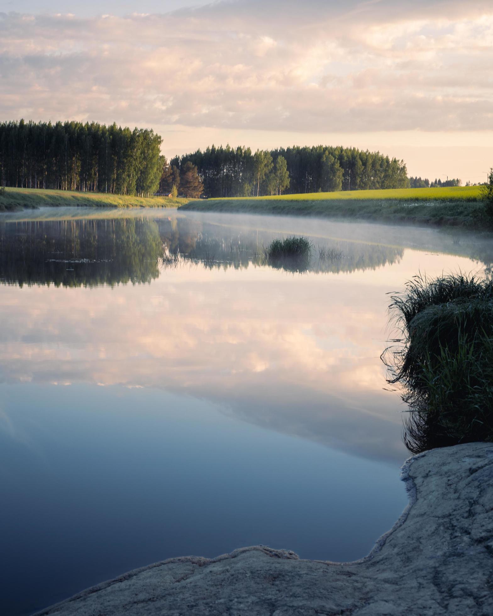 Mist over a pond in summer morning Stock Free