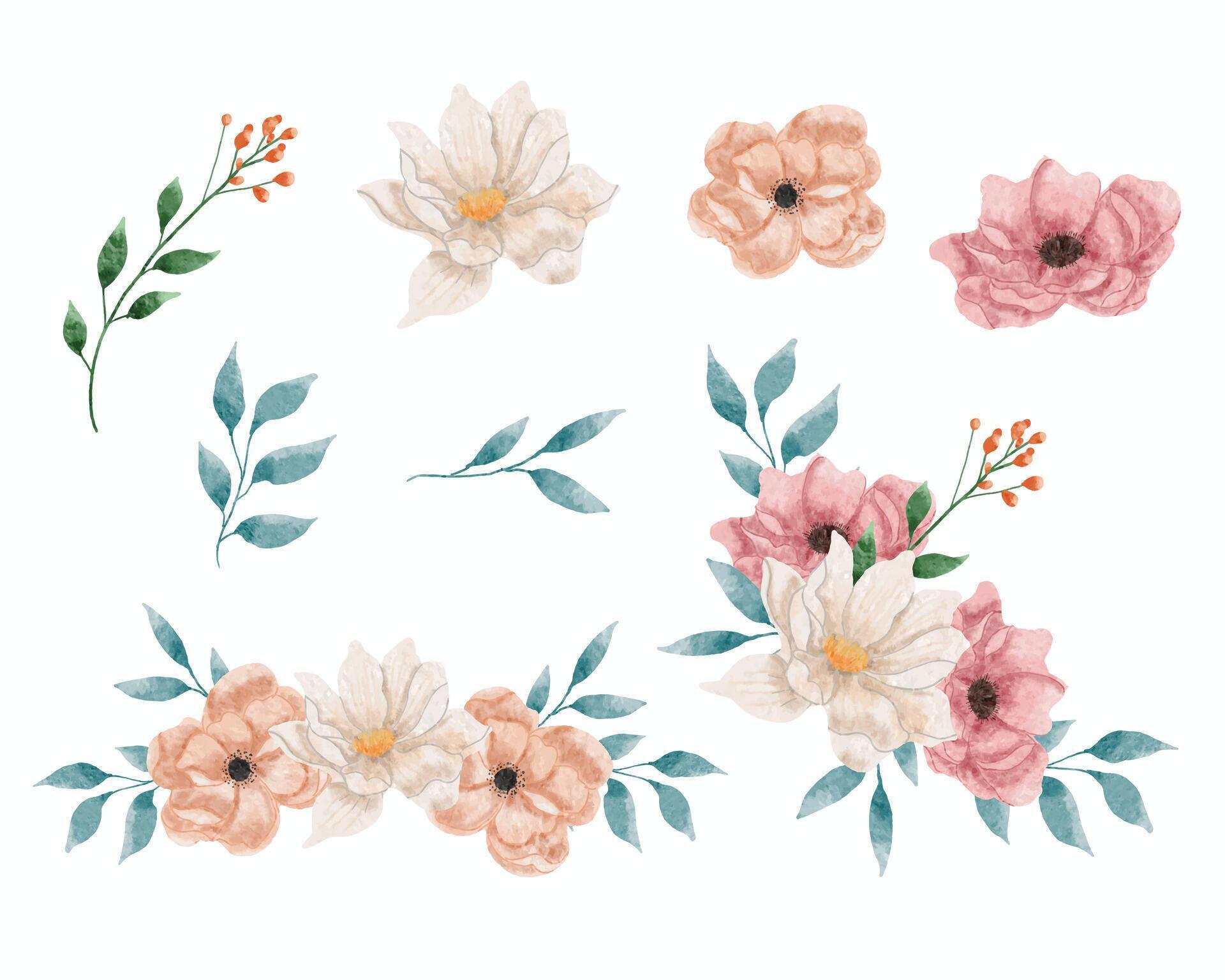 White and Pink Watercolor Flower Set Stock Free