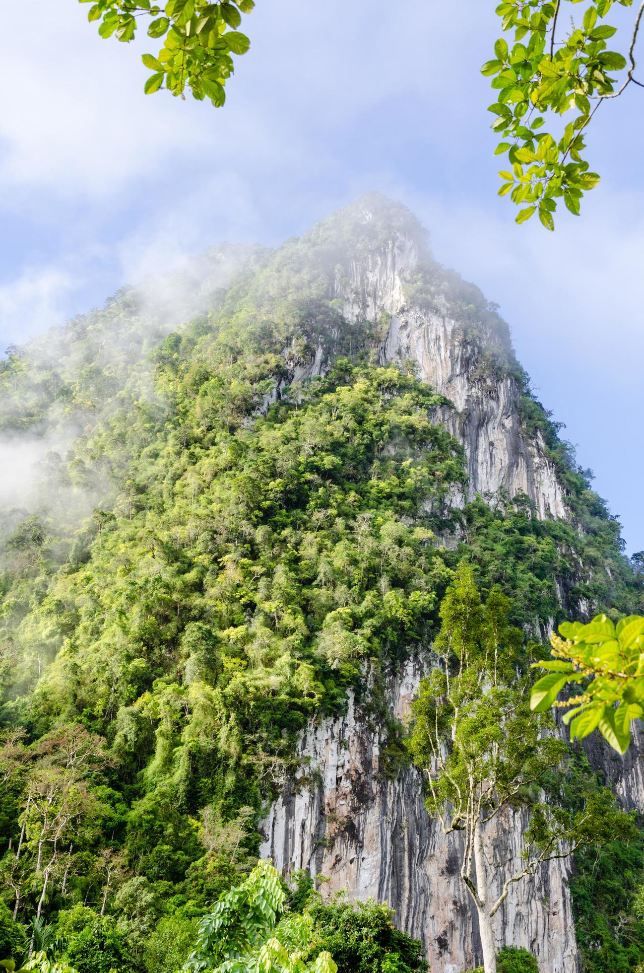 Lush high mountains covered by mist Stock Free