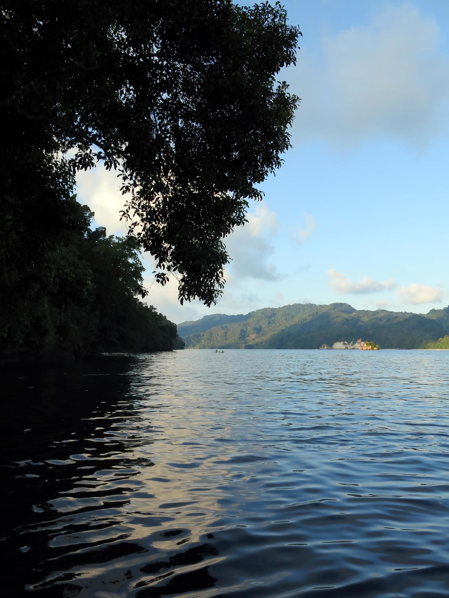 The nature of the Lembeh Strait. Stock Free