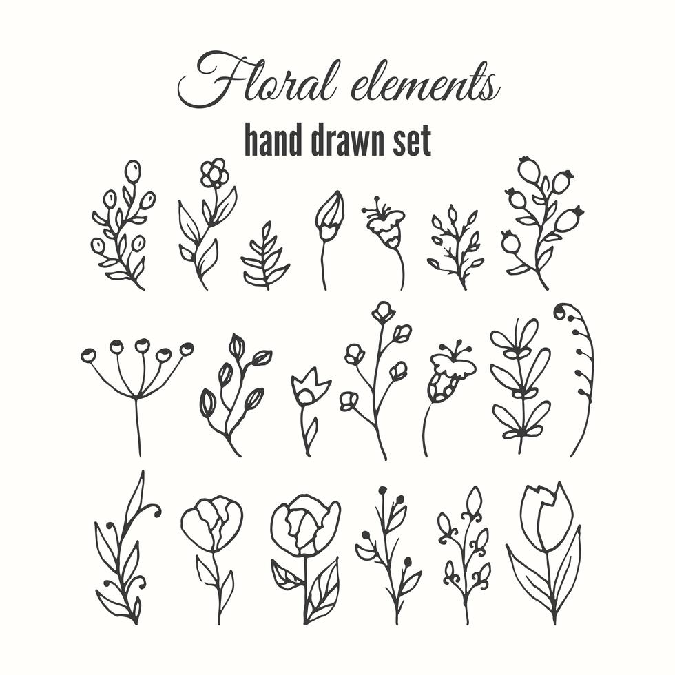 Vector floral decorative set. Herbs and wild flowers. Stock Free