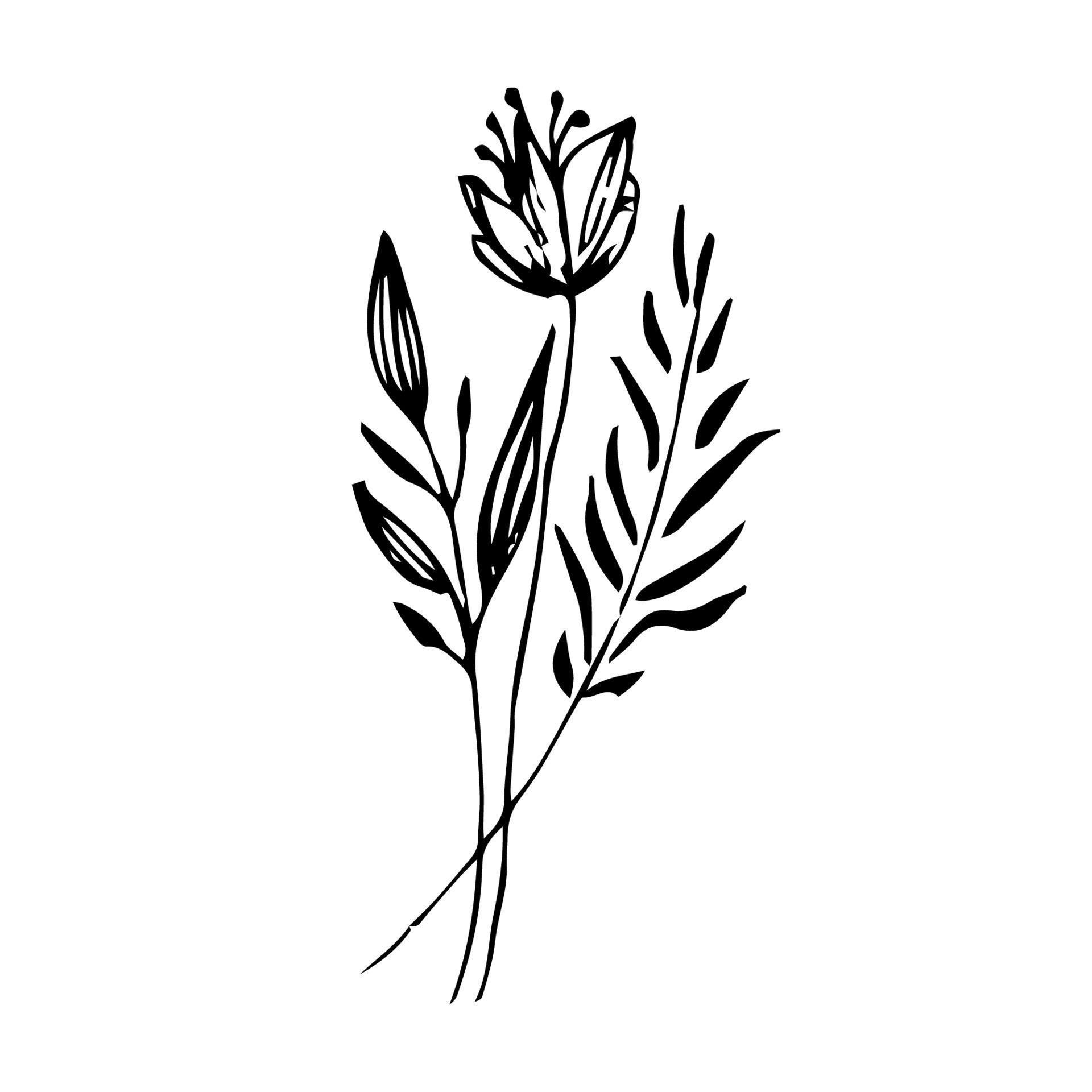 Vector minimalistic hand drawn flowers. Illustration of floral invitation and decoration in vintage style Stock Free