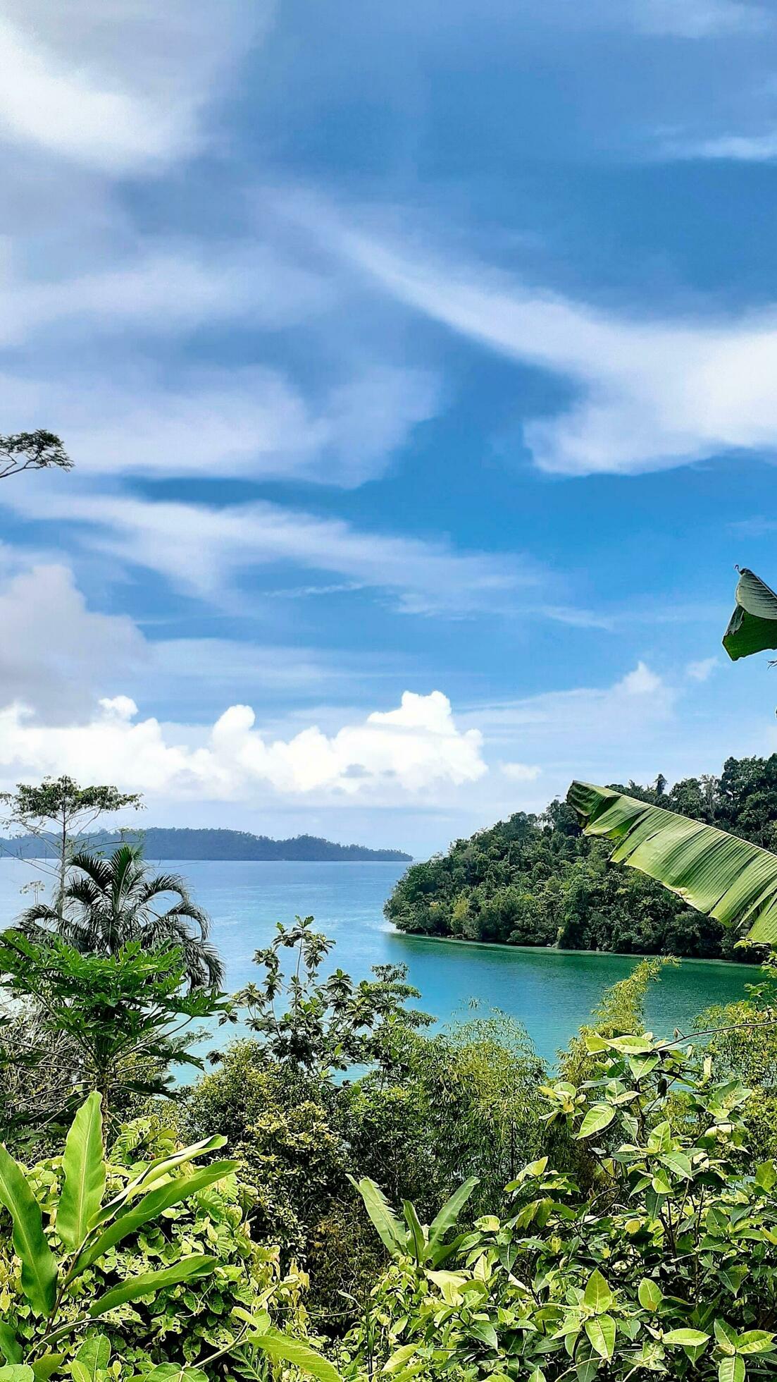 summer natural scenery on the coast Stock Free