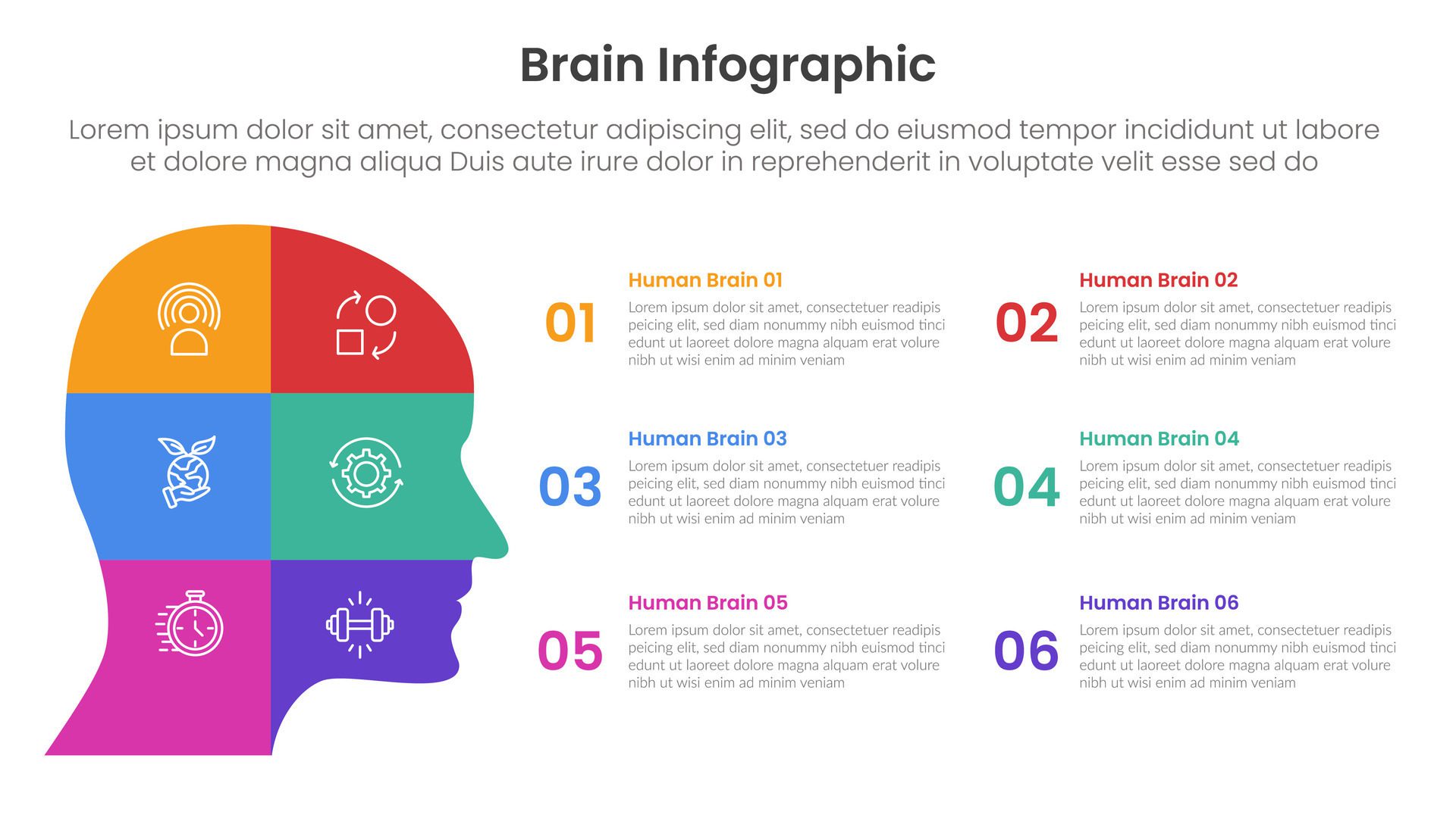 human brain infographic template banner with human head parts square base with 6 point list information for slide presentation Free Vector