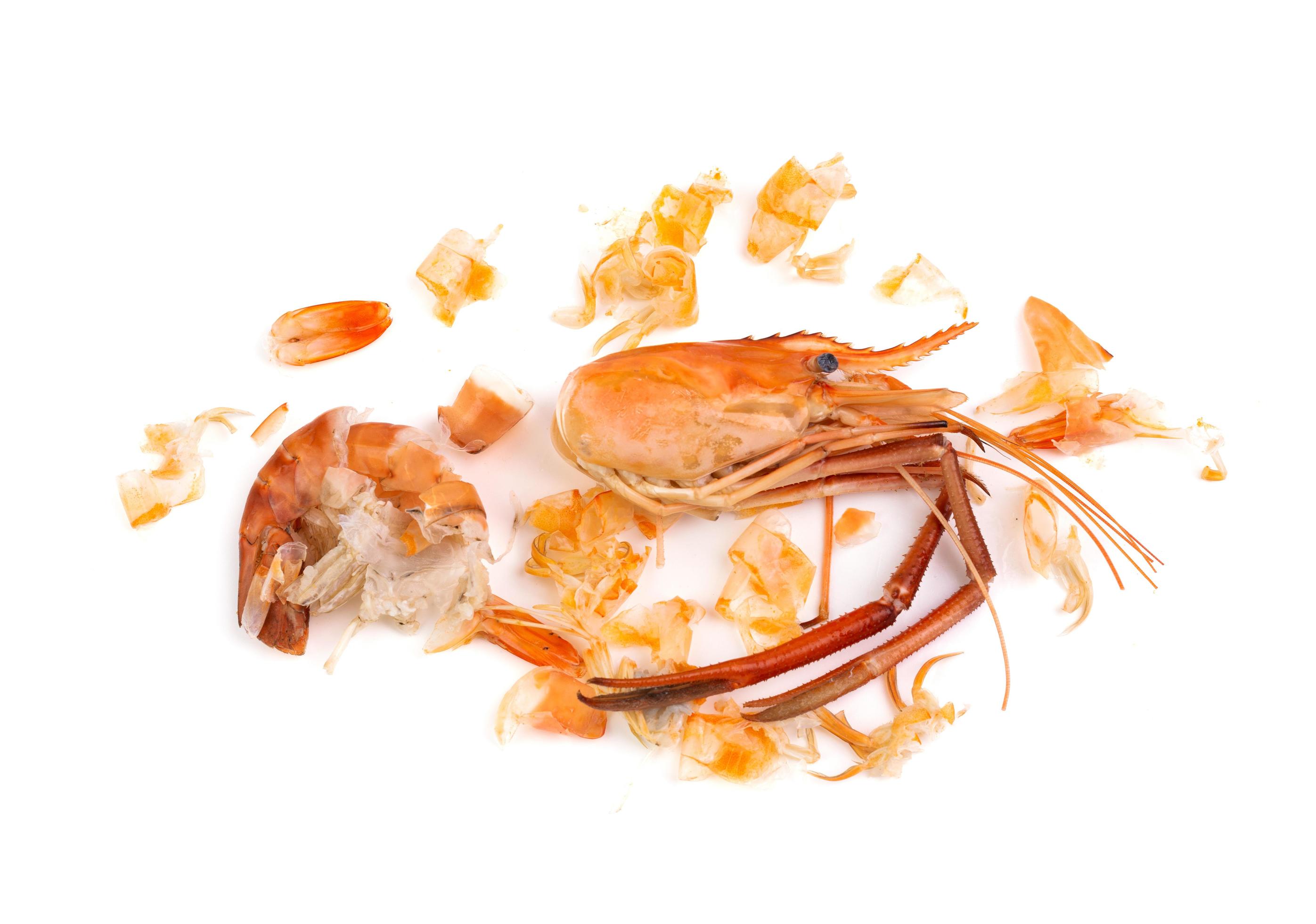 Shrimp heads and shrimp shells, food waste, leftovers, waste. Natural seafood. Lunch. Dinner isolated on white background. Stock Free