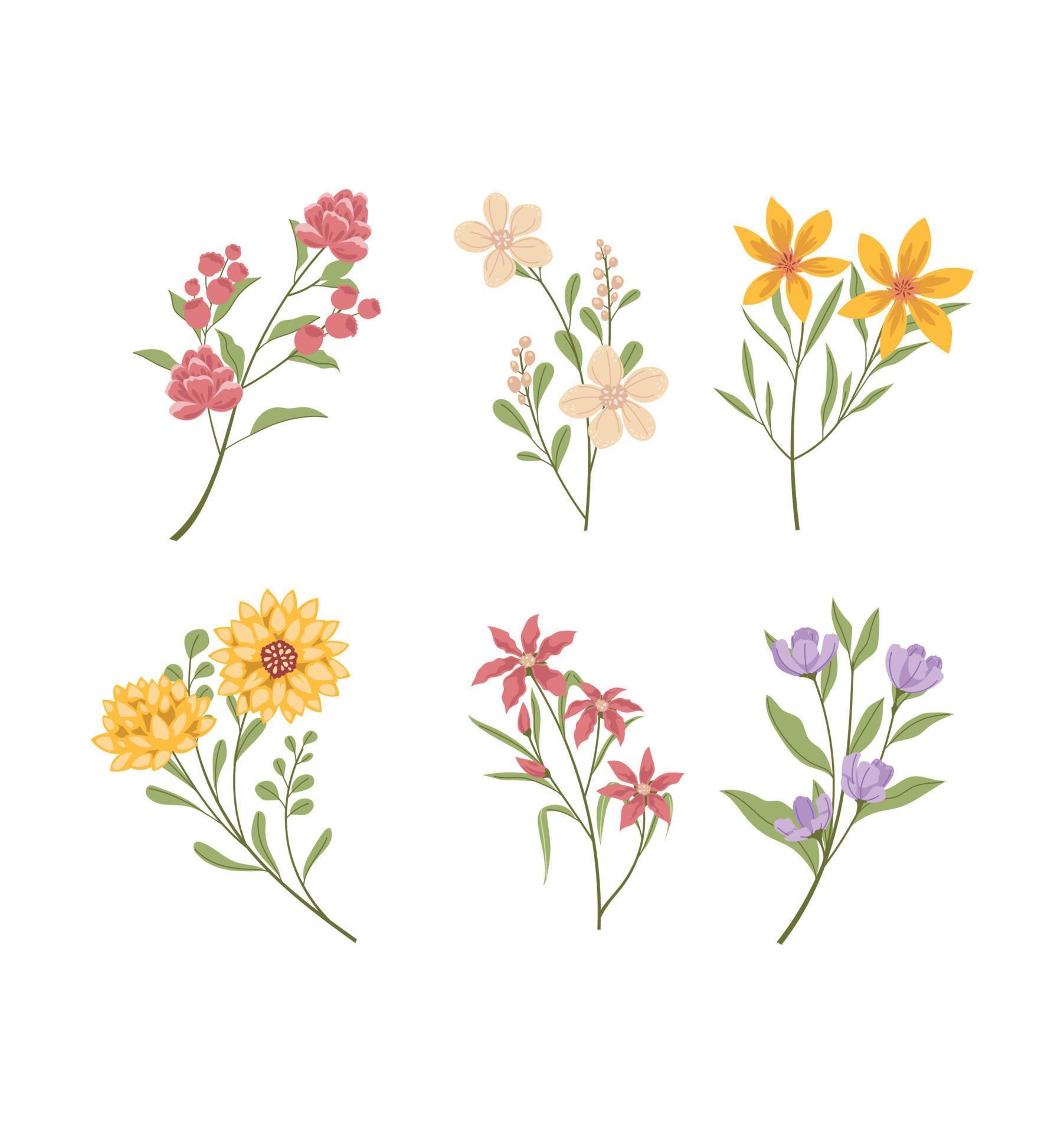 Flat Vector Organic Flower Collection Stock Free