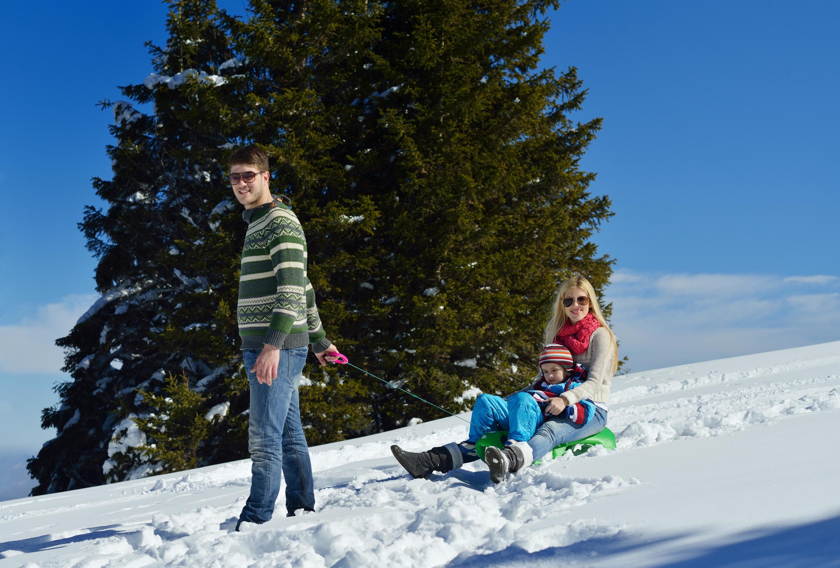 family having fun on fresh snow at winter Stock Free