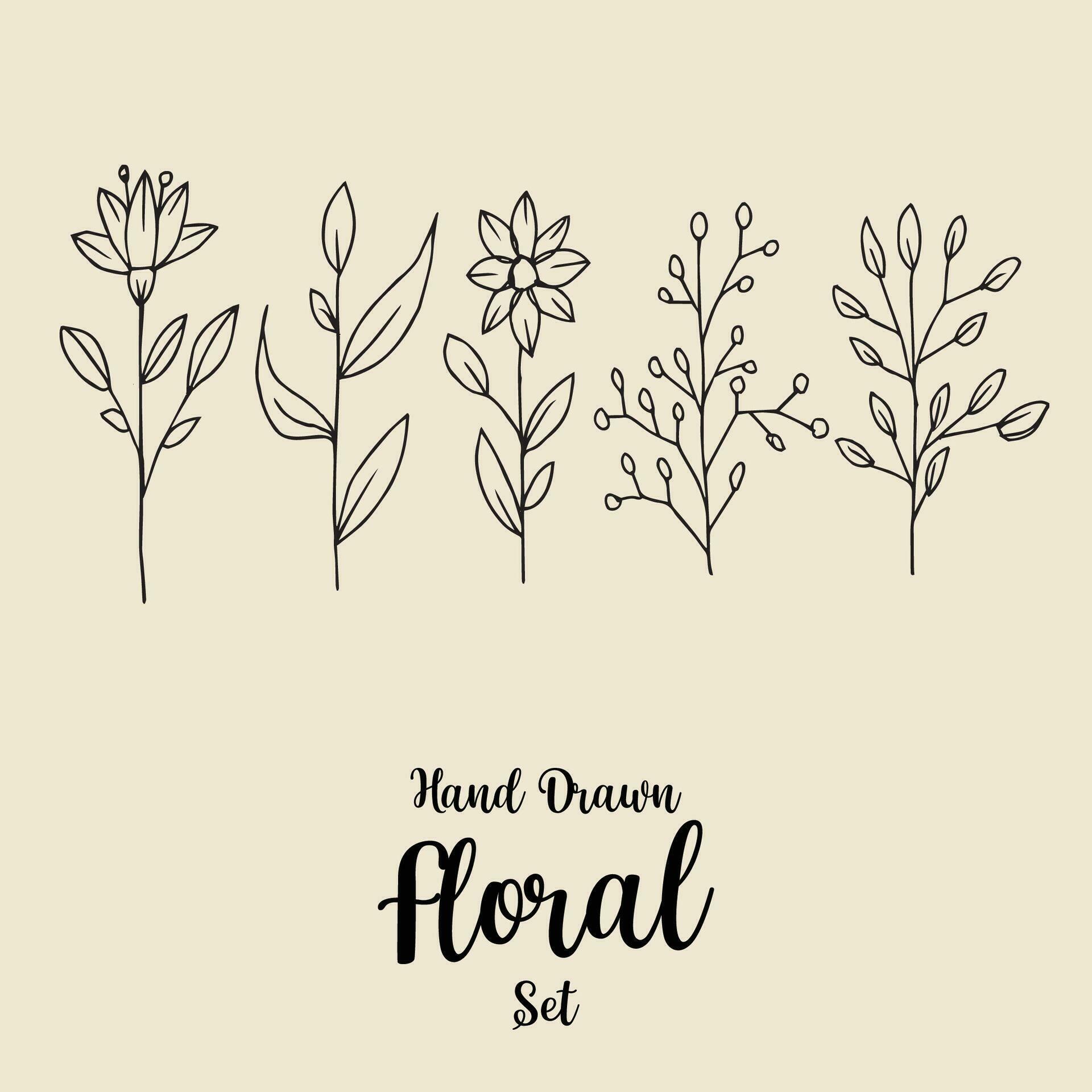 Hand Drawn Flower Outline Set Of Four Stock Free