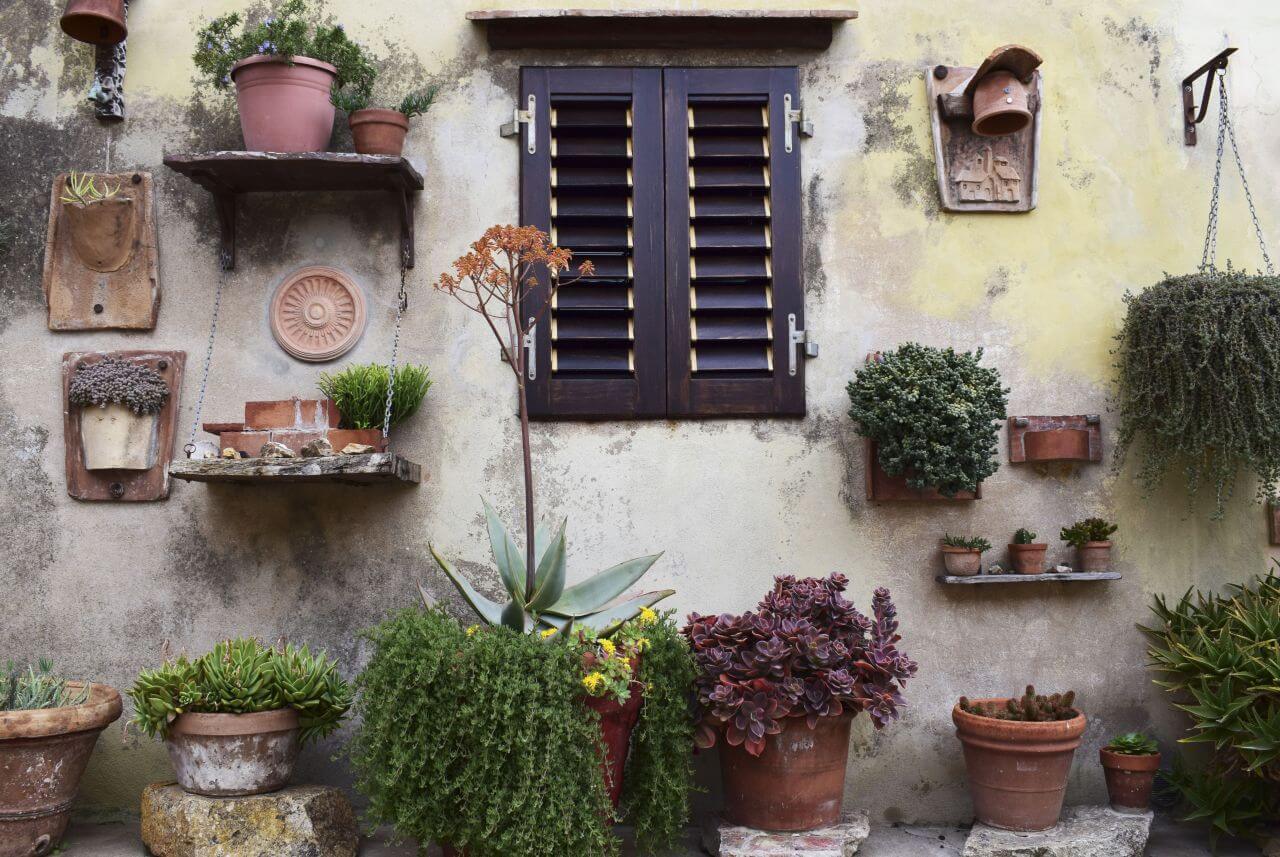 Window Plants Wall House Stock Free