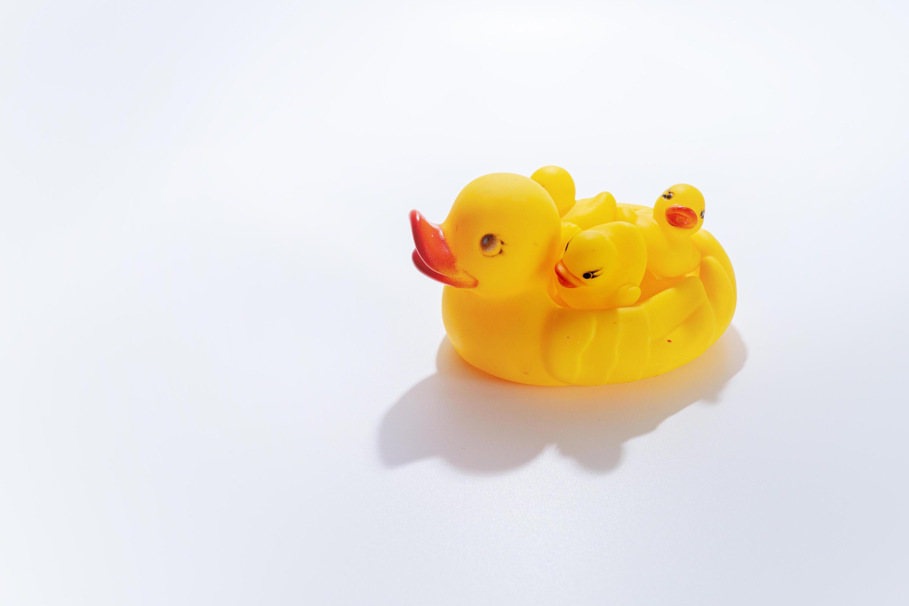 top view of family of yellow toy ducklings Stock Free