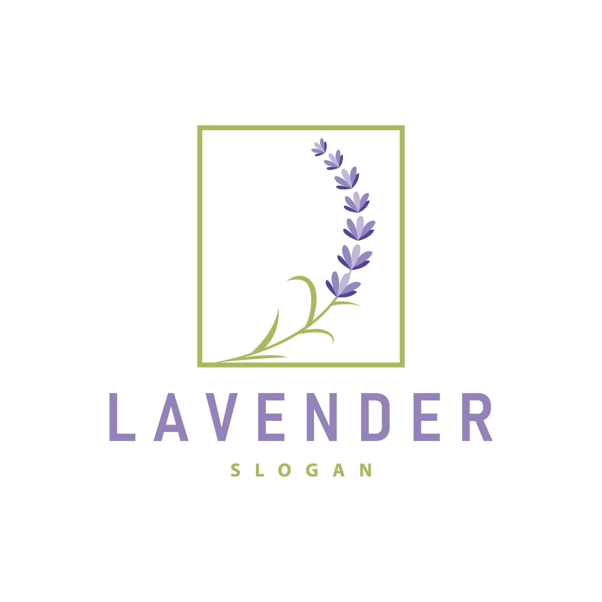 Lavender Logo Elegant Purple Flower Plant Illustration Floral Ornament Design Stock Free