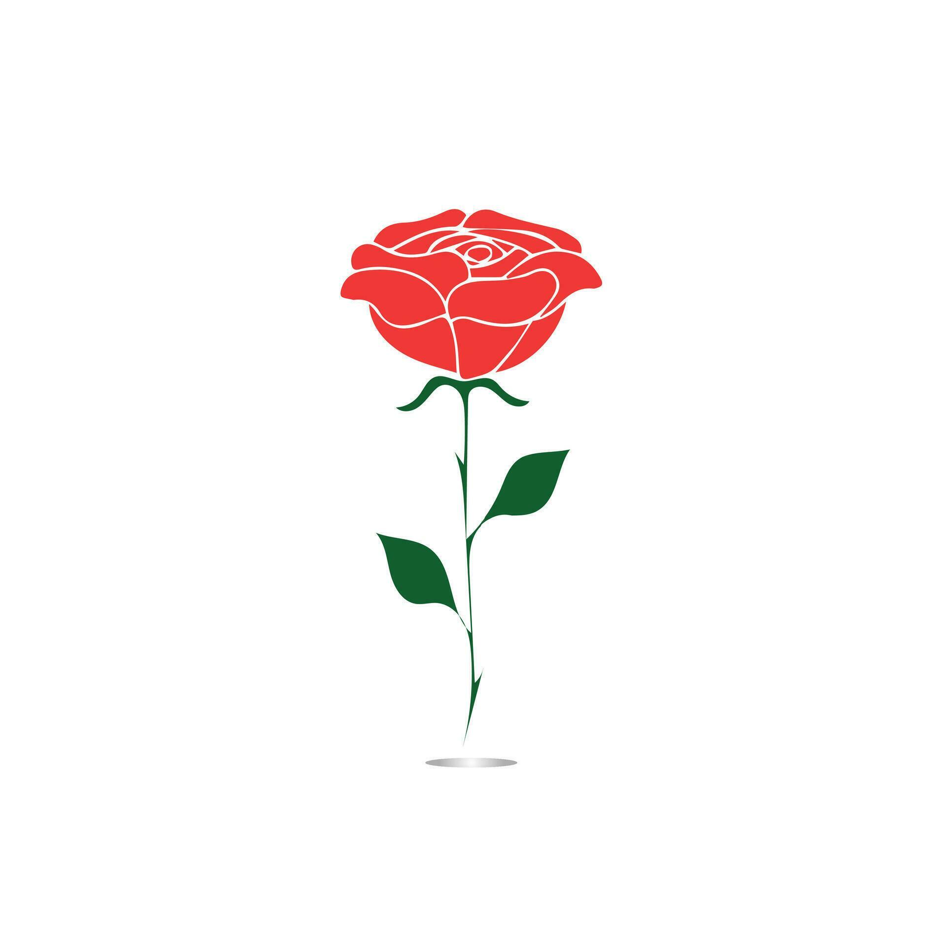 Red roses hand drawn, Black line rose flowers inflorescence silhouettes isolated on white background. Icon roses collection. Vector doodle illustration. Stock Free and Free SVG