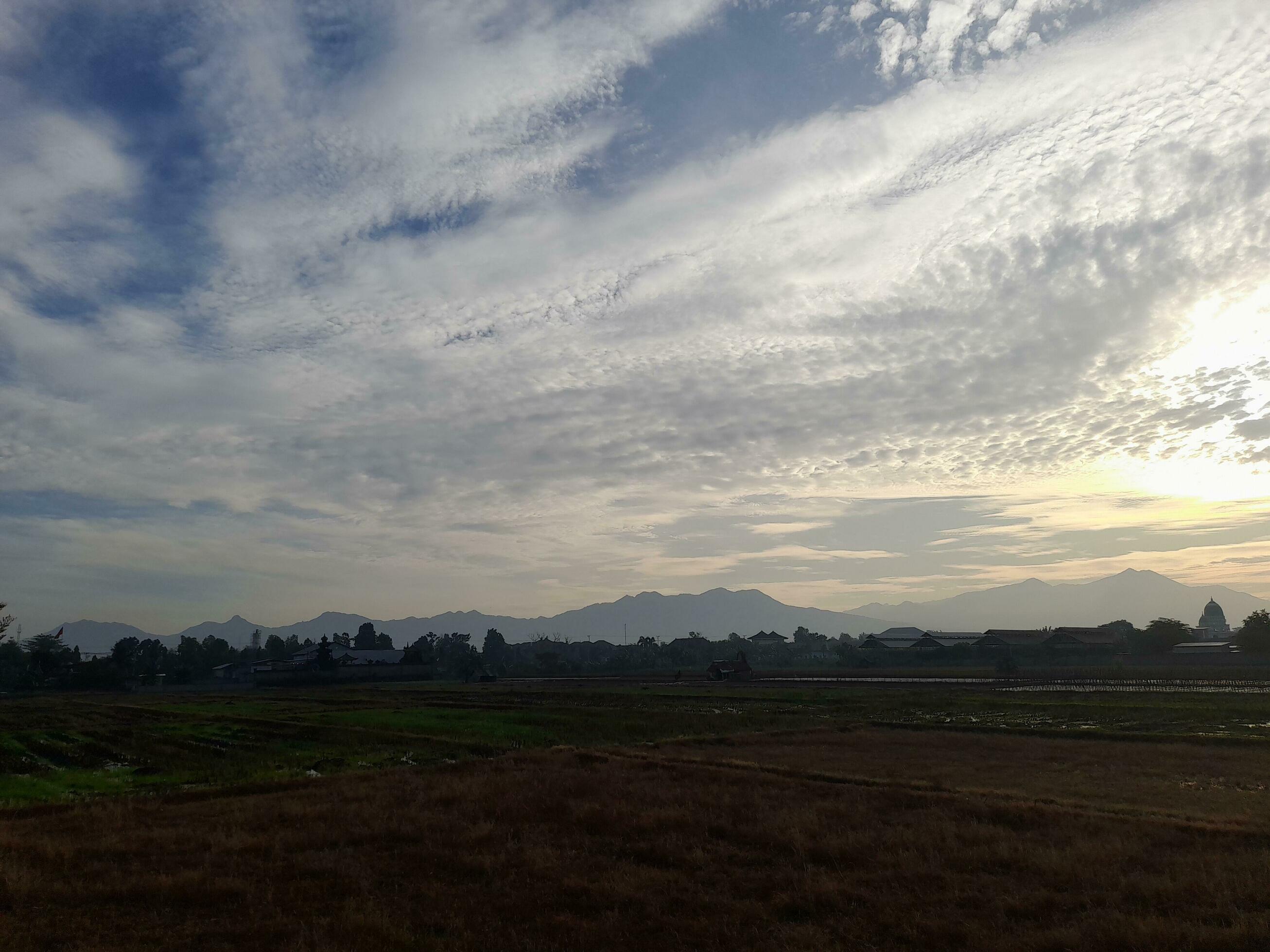 Beautiful view of the sky on the rice paddy field during sunrise in Lombok Island, Indonesia. Nature composition Stock Free