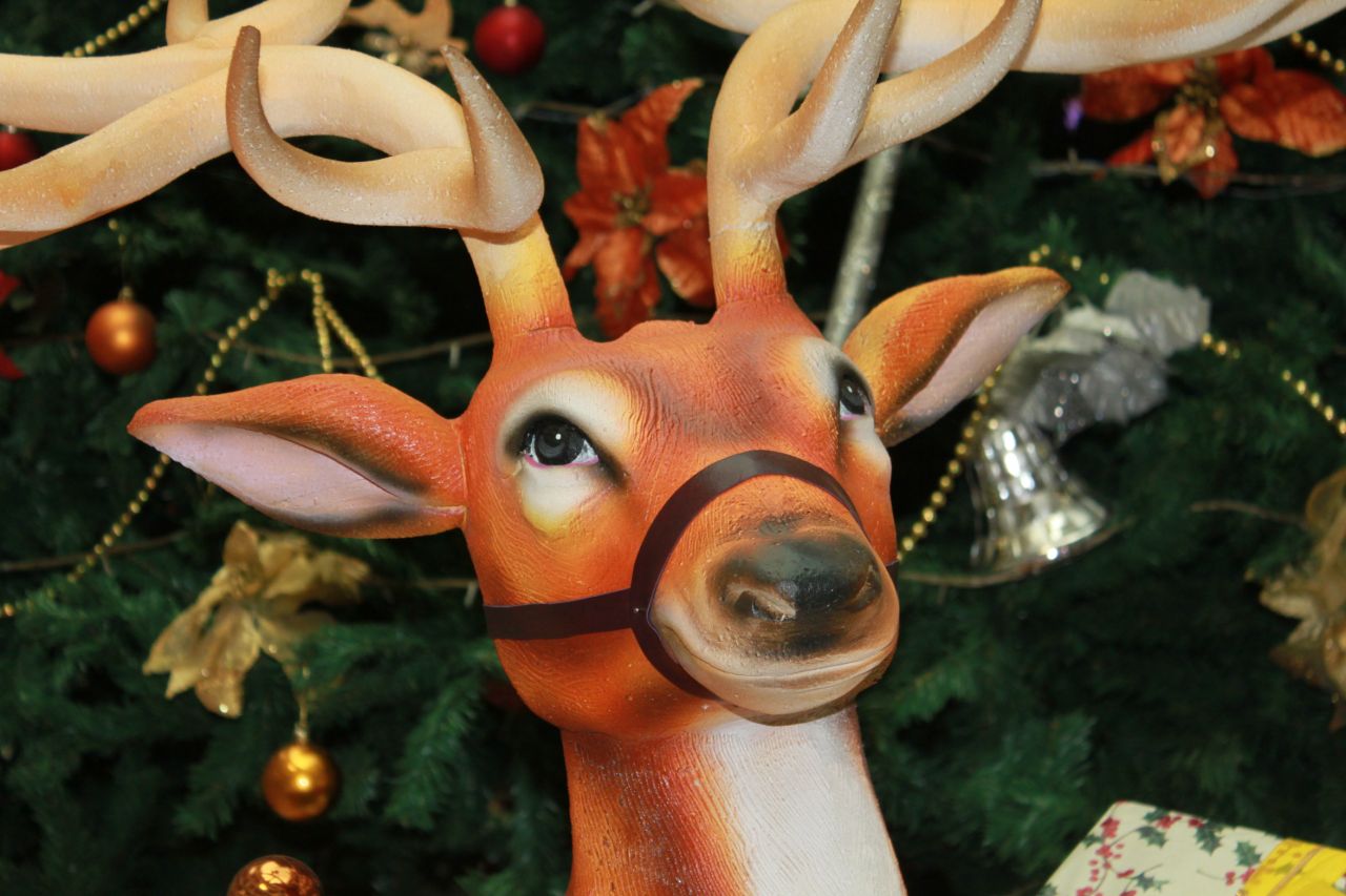 Reindeer Christmas Tree Closeup Stock Free