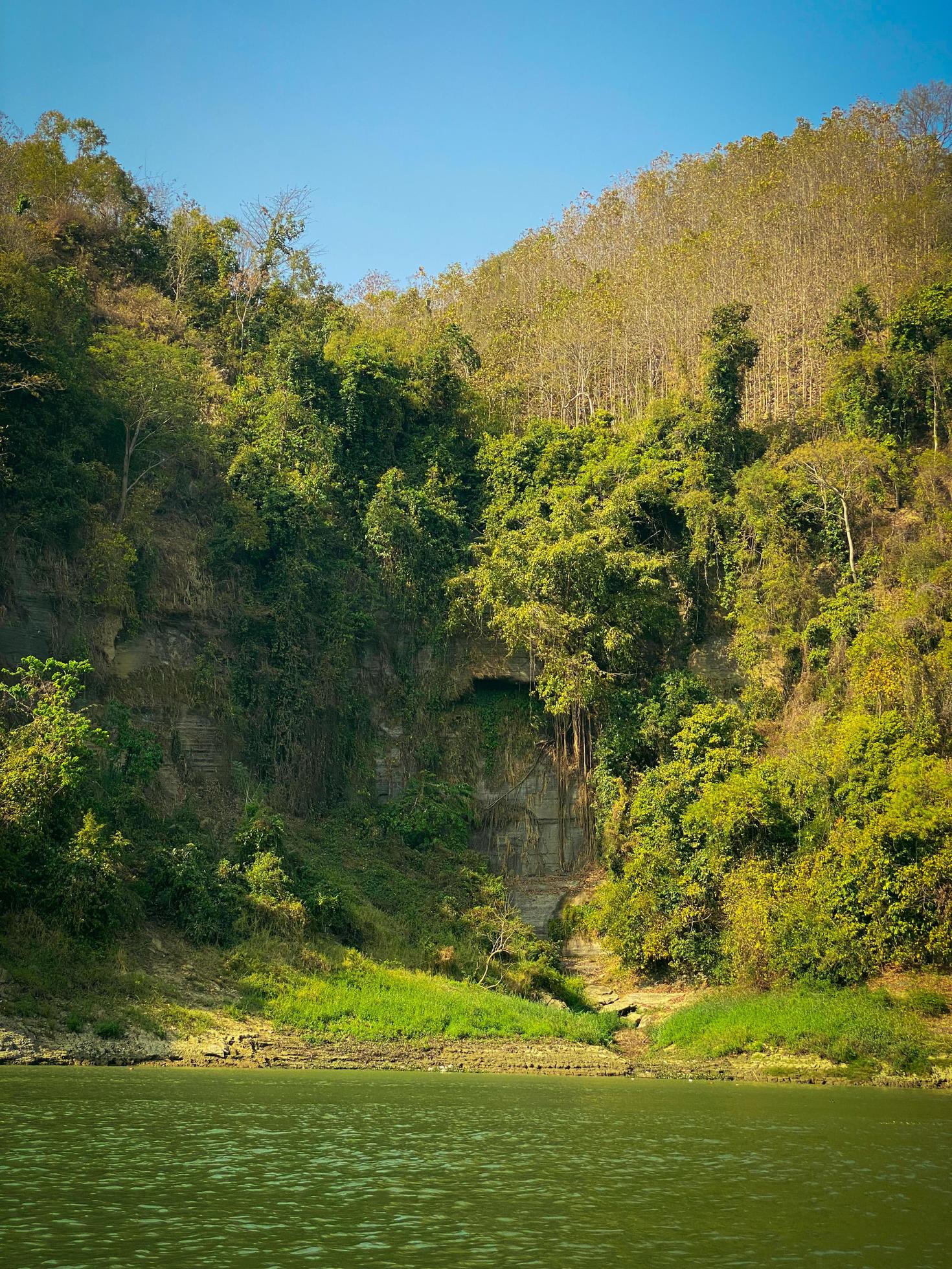 A river with trees and mountains in the background. Mountain river in the jungle. Nature landscape background. Stock Free