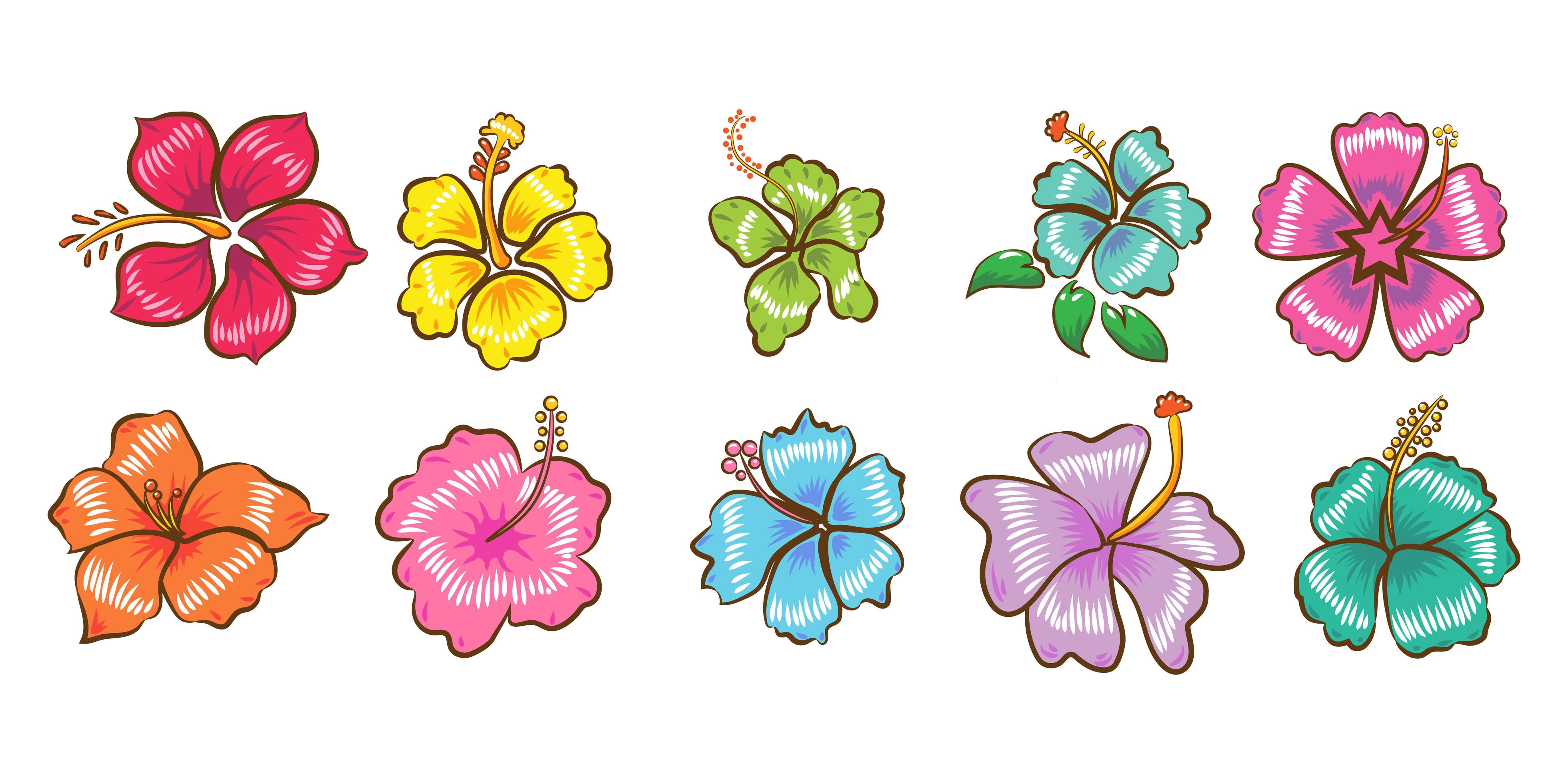 Hibiscus flower set Stock Free