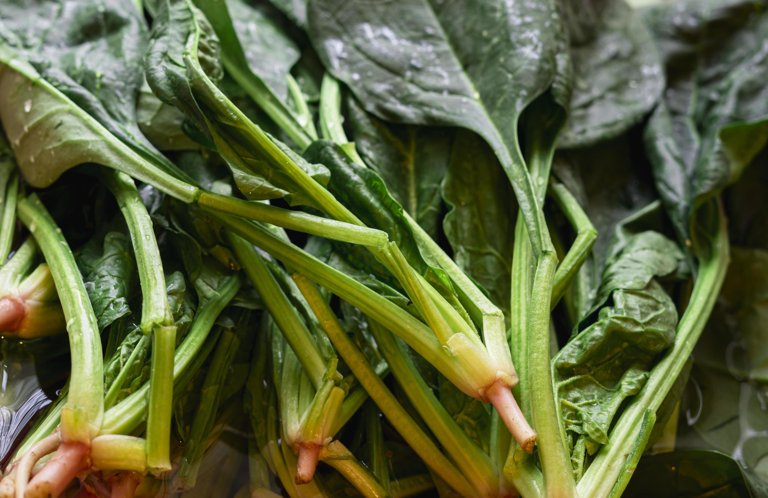 Green bunch of arugula plant vegan food Stock Free