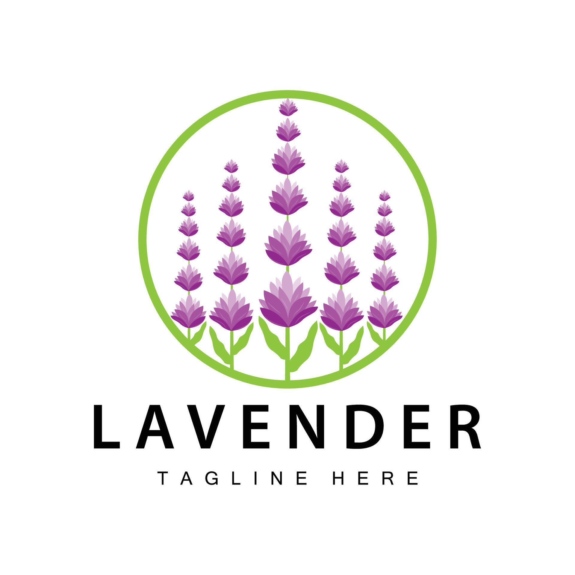 Lavender logo simple design vector cosmetic plant purple color and aromatherapy lavender flower garden template Stock Free