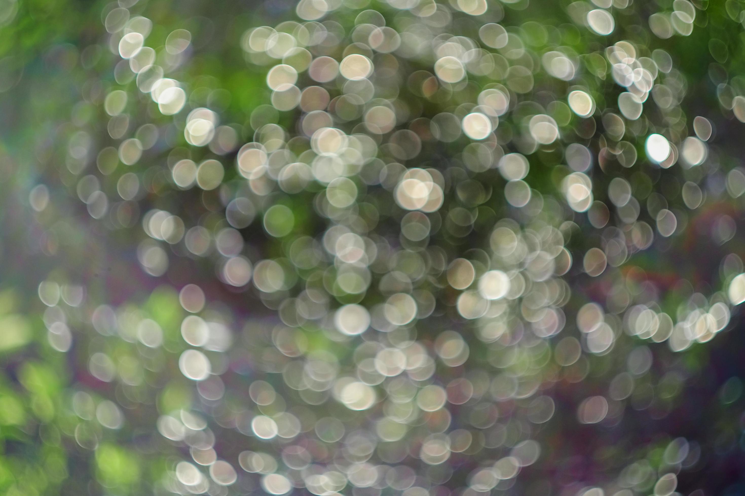 Blurry and bokeh of nature background. Stock Free