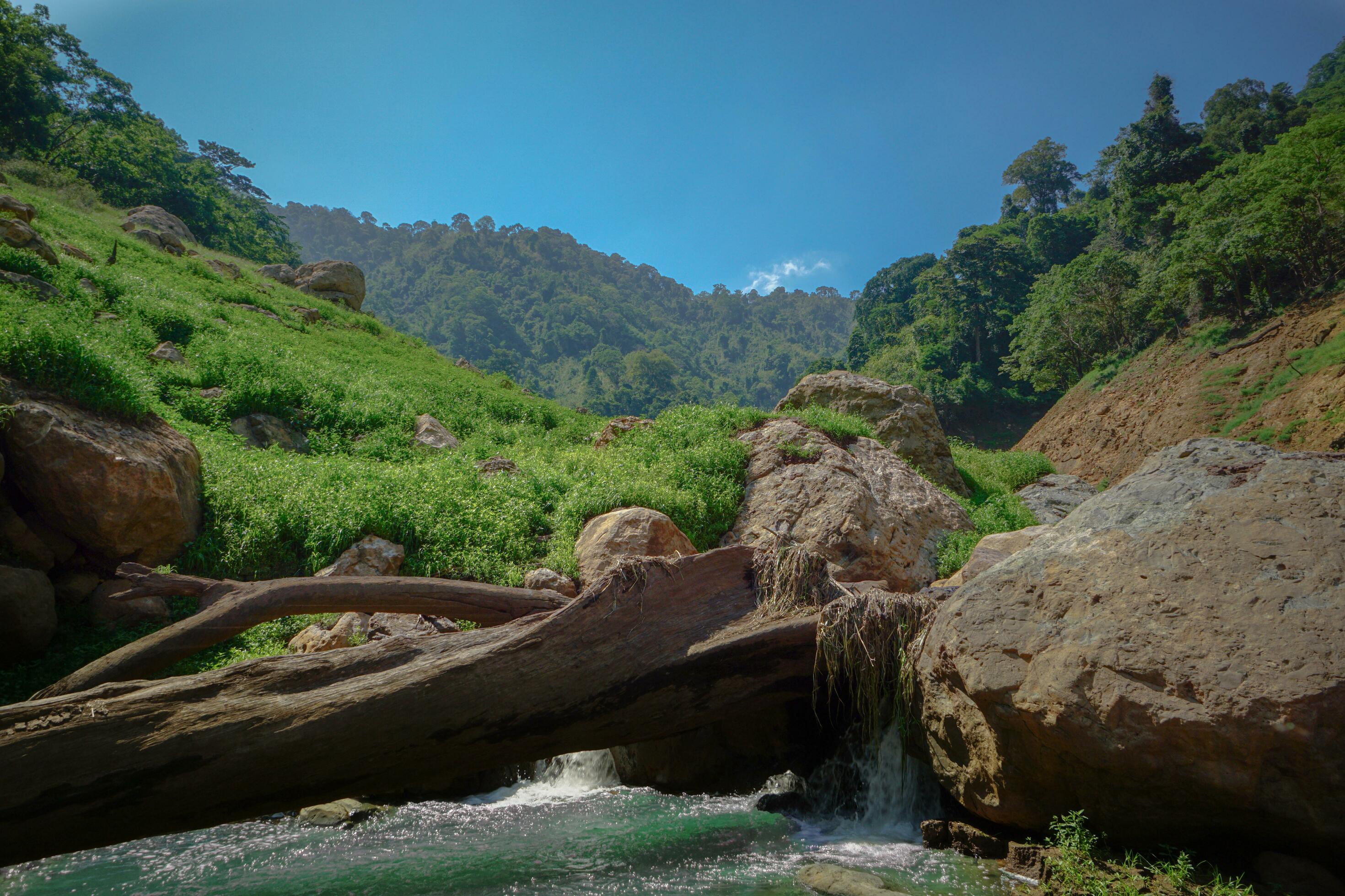 Upstream view on top of the dam Surrounded by mountains and lush nature Stock Free