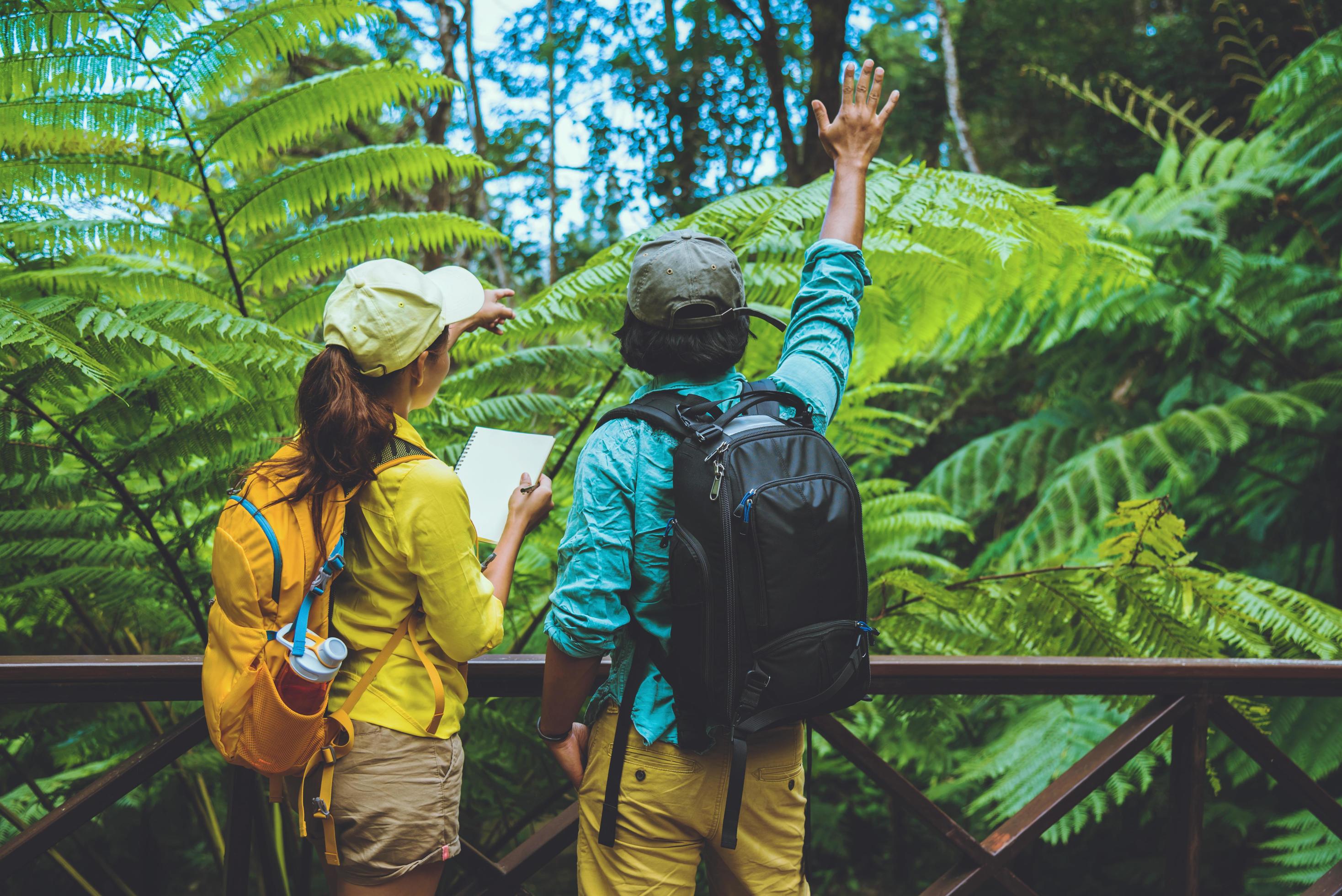 lover woman and man asian travel nature.Travel relax. Walking and studying nature in the forest. Thailand Stock Free