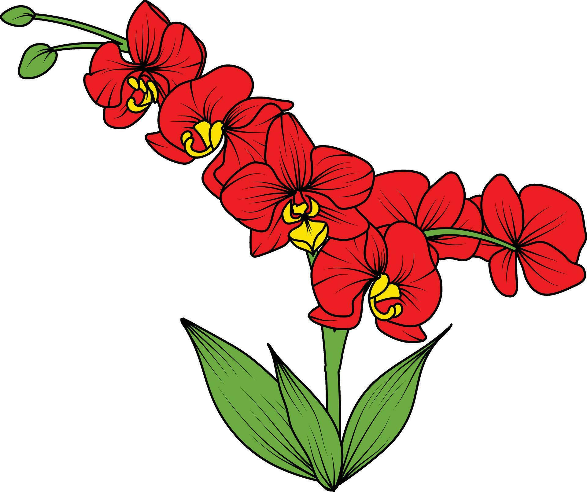 Red orchid branch vector flower, illustration of beautiful red orchid flower Stock Free