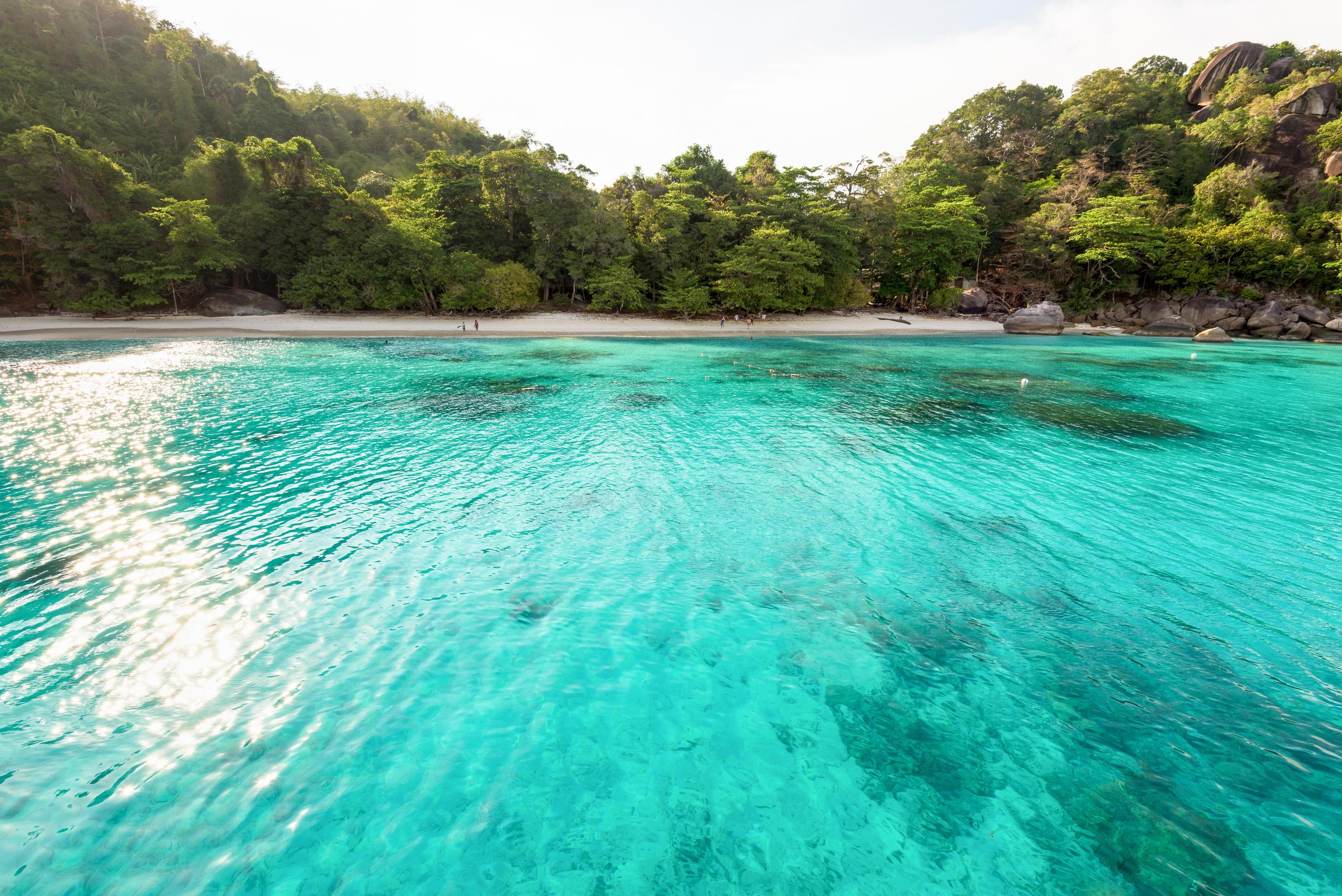 Honeymoon Bay and beach in Similan island, Thailand Stock Free