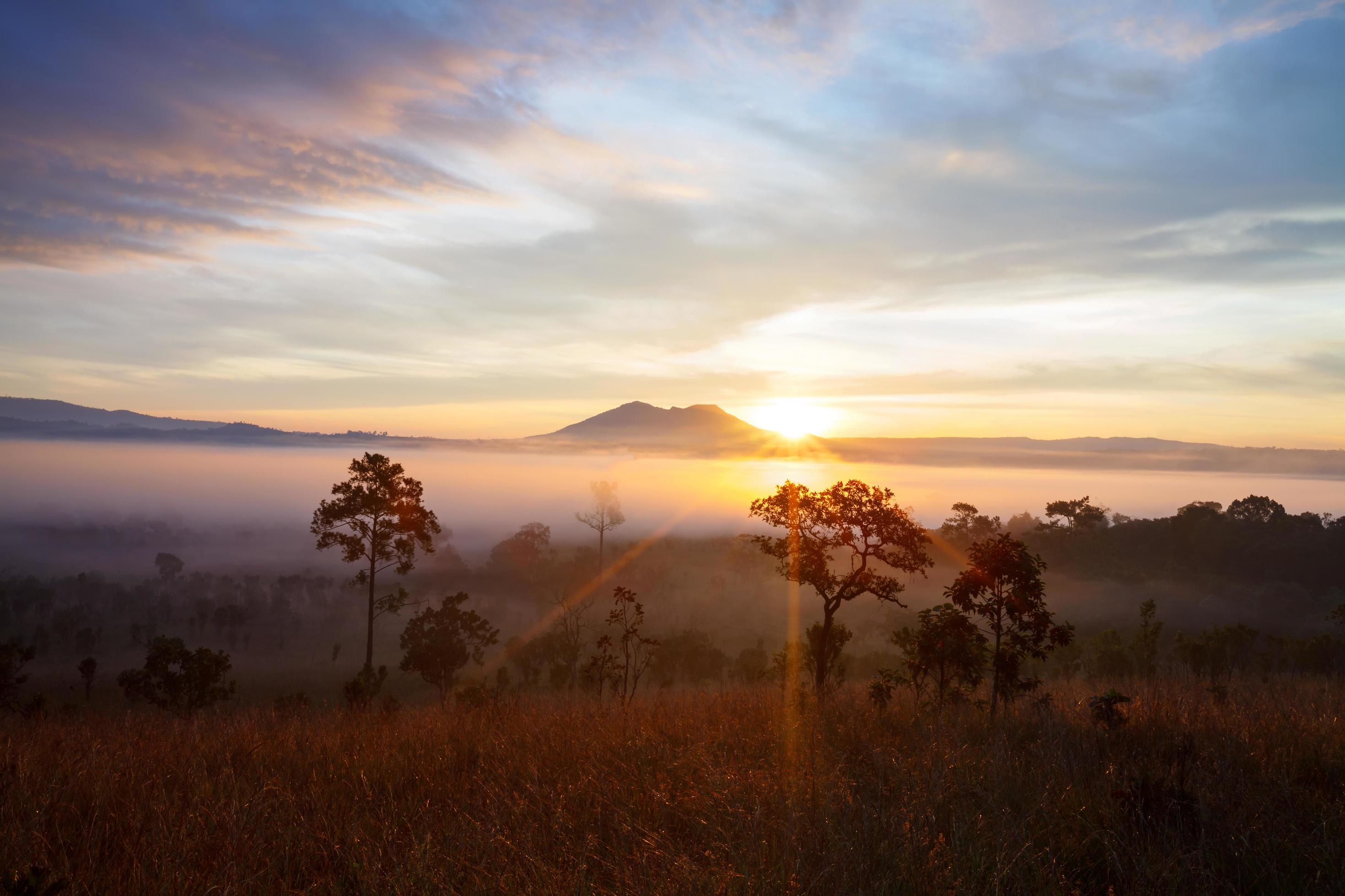 Misty morning sunrise at Thung Salang Luang National Park Phetchabun,Thailand Stock Free