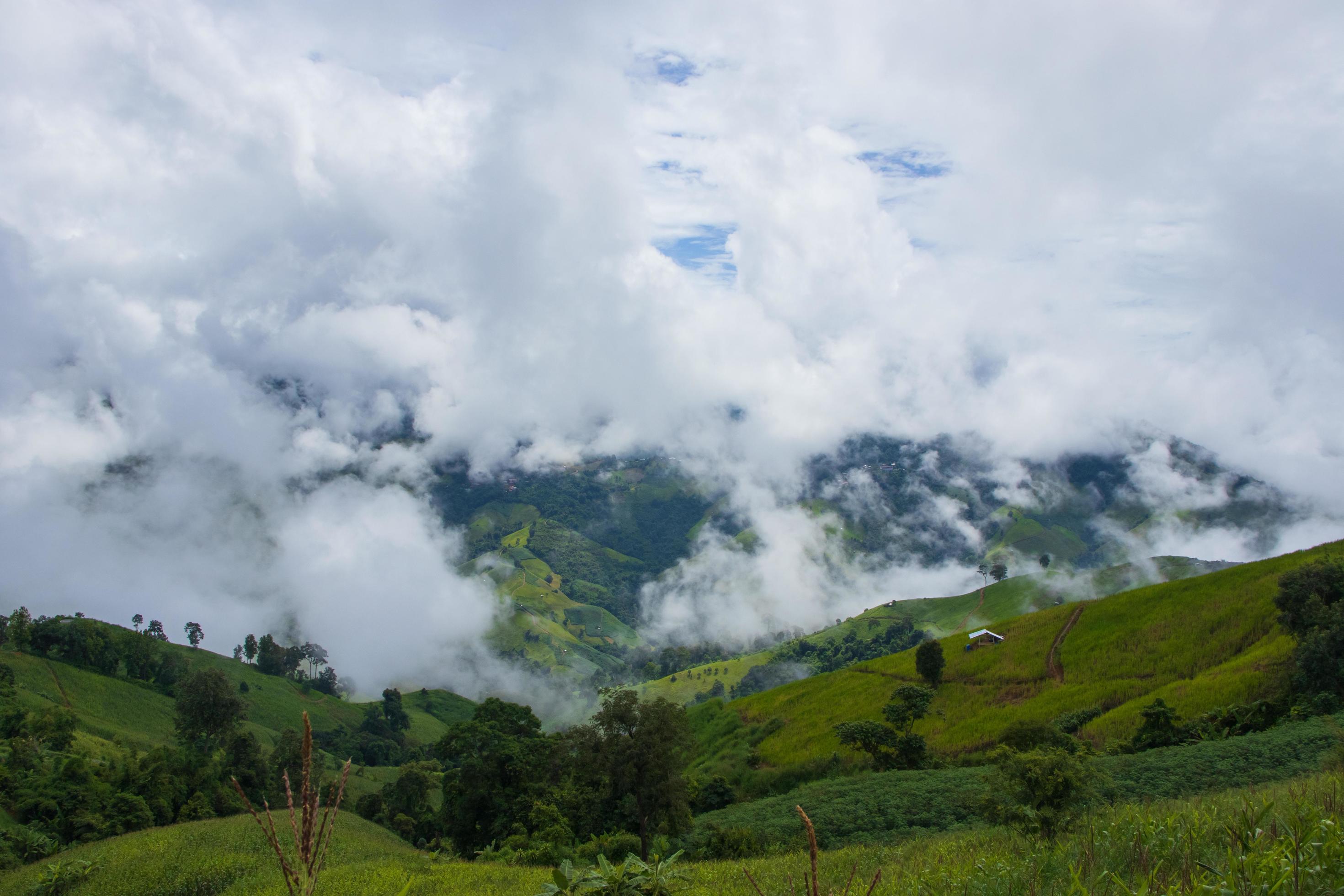 fog and cloud landscape in rainy season beautiful natural scenery Stock Free