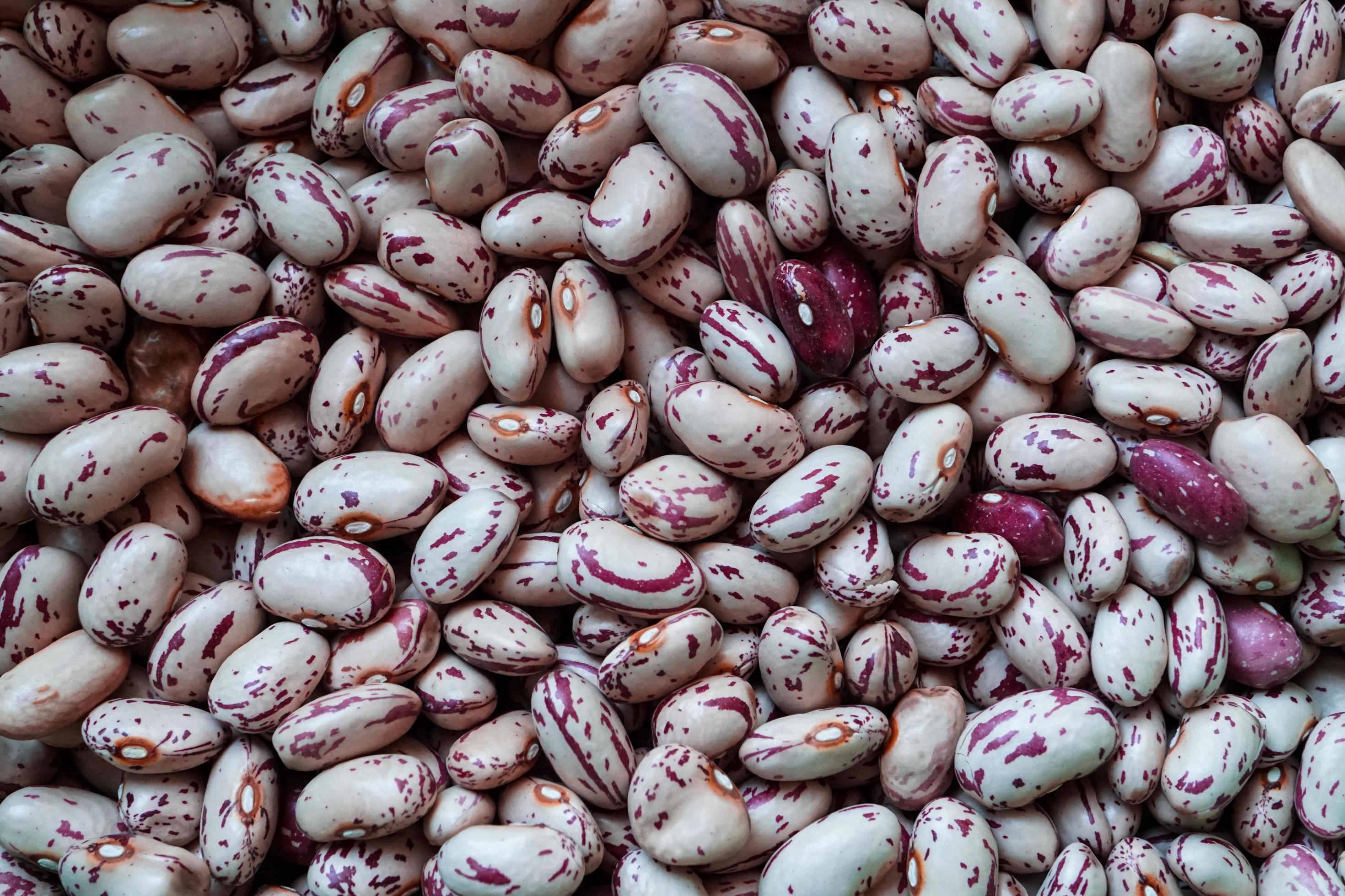 uncooked red beans, healthy food Stock Free