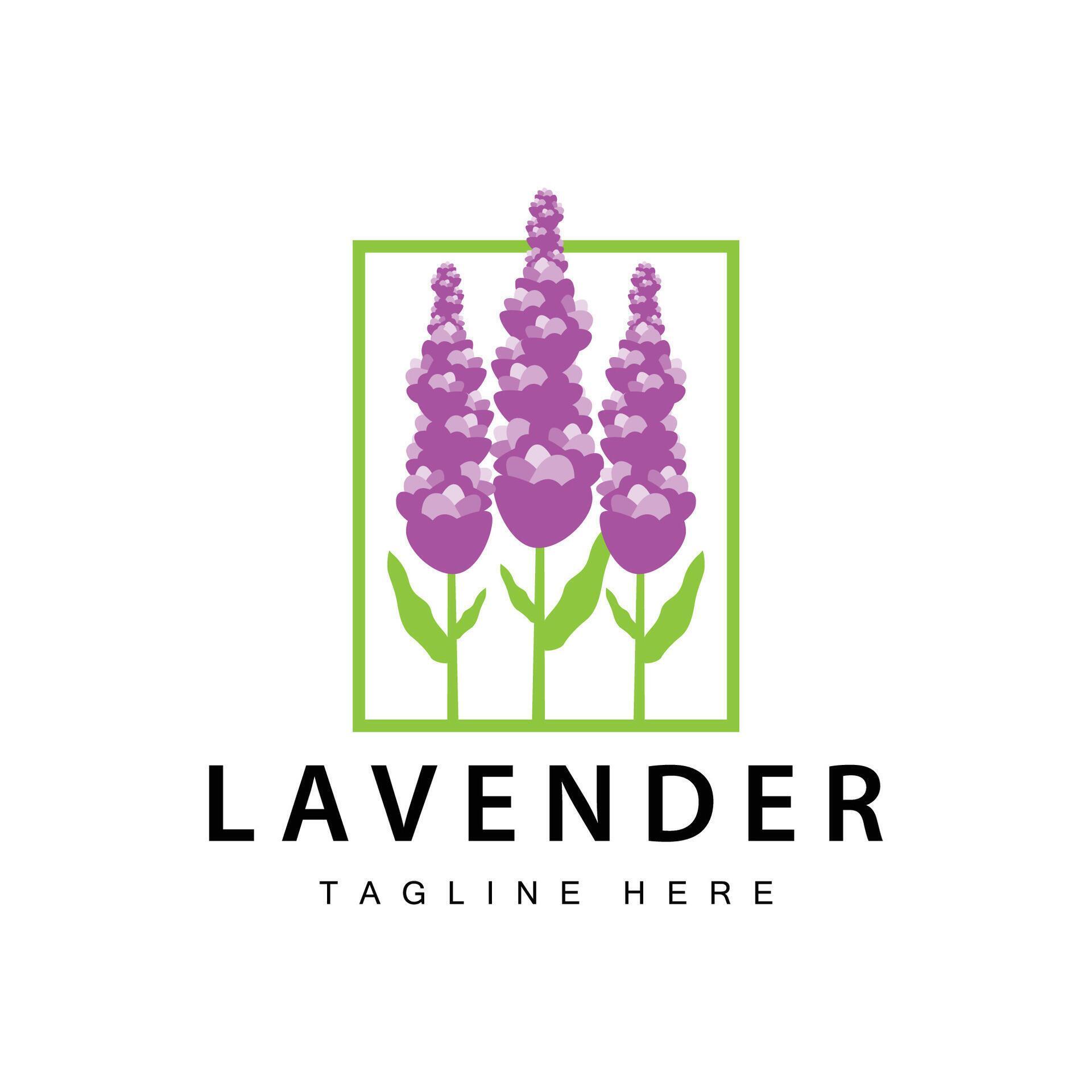 Lavender logo simple design cosmetic plant purple color and aromatherapy lavender flower garden template Stock Free